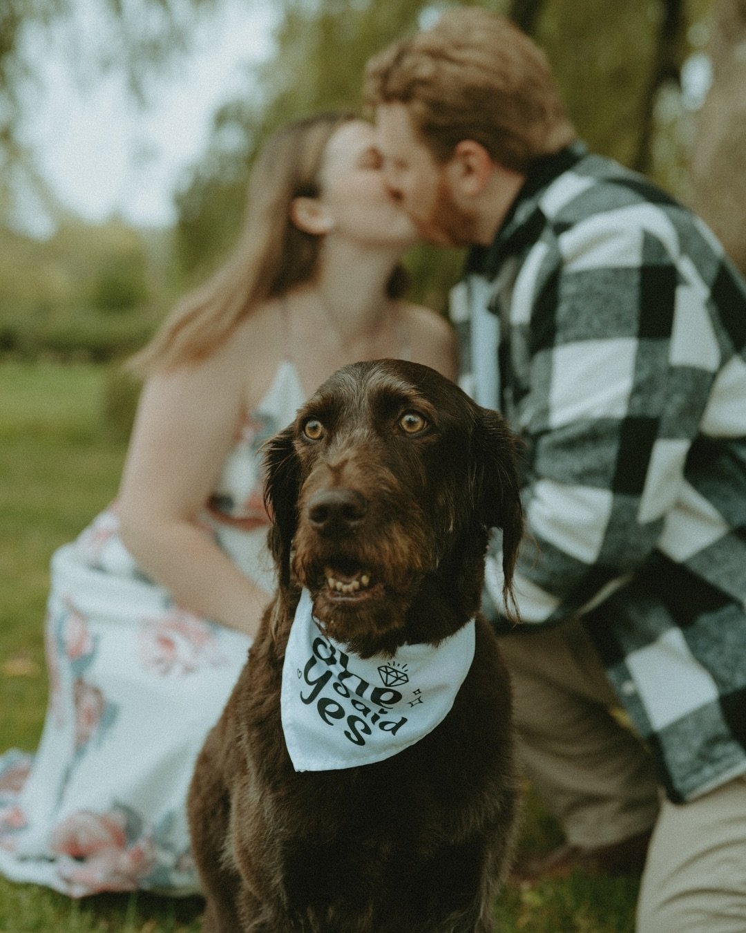 This session will always hold a place in my heart. B wanted Hazel to be apart of his proposal to M, and she got to join in for one last adventure - surrounded by love, loyalty and so so much joy!

Their love is so contagious, and I&rsquo;m so gratefu