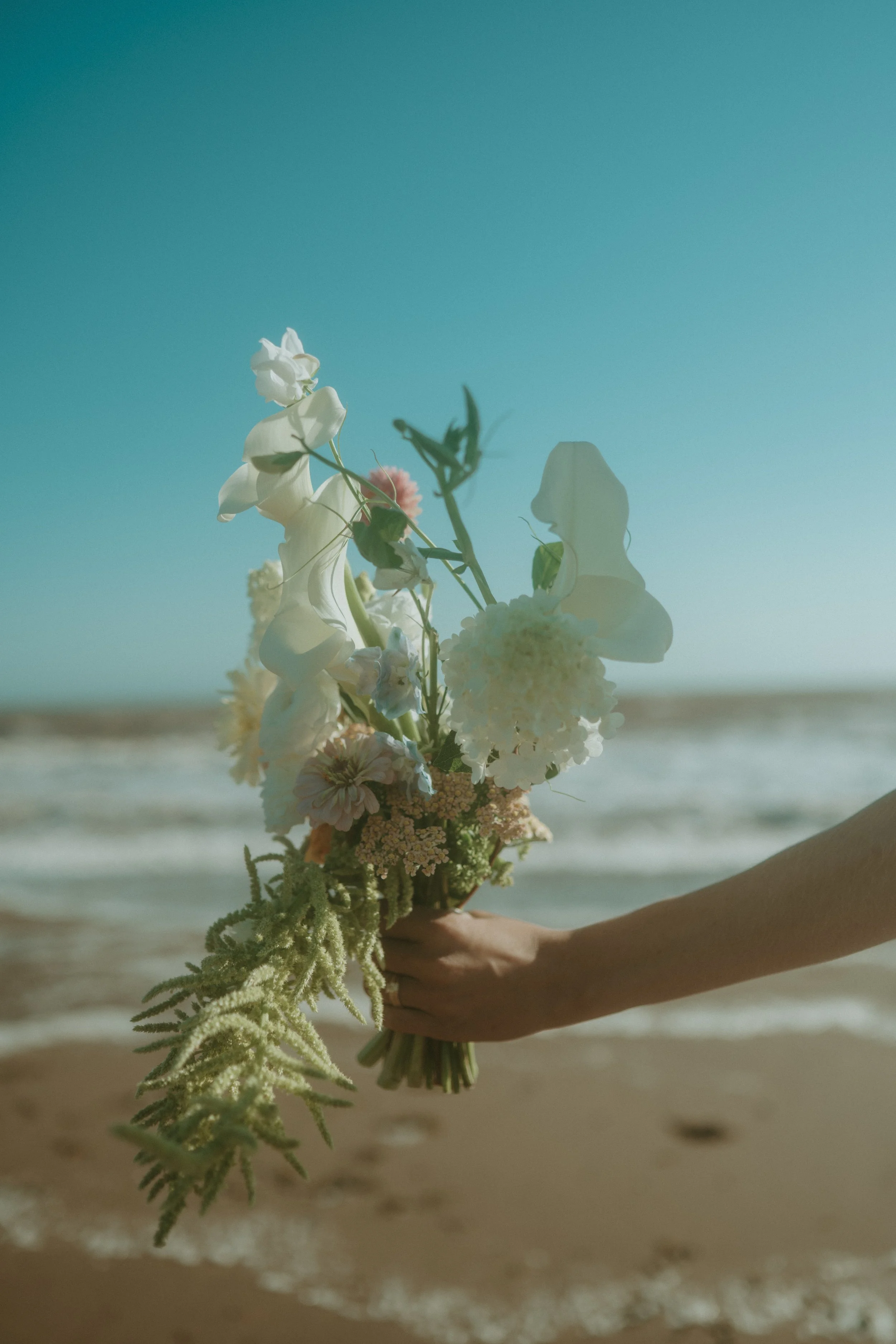 Sandra&SethElopement-64.jpg