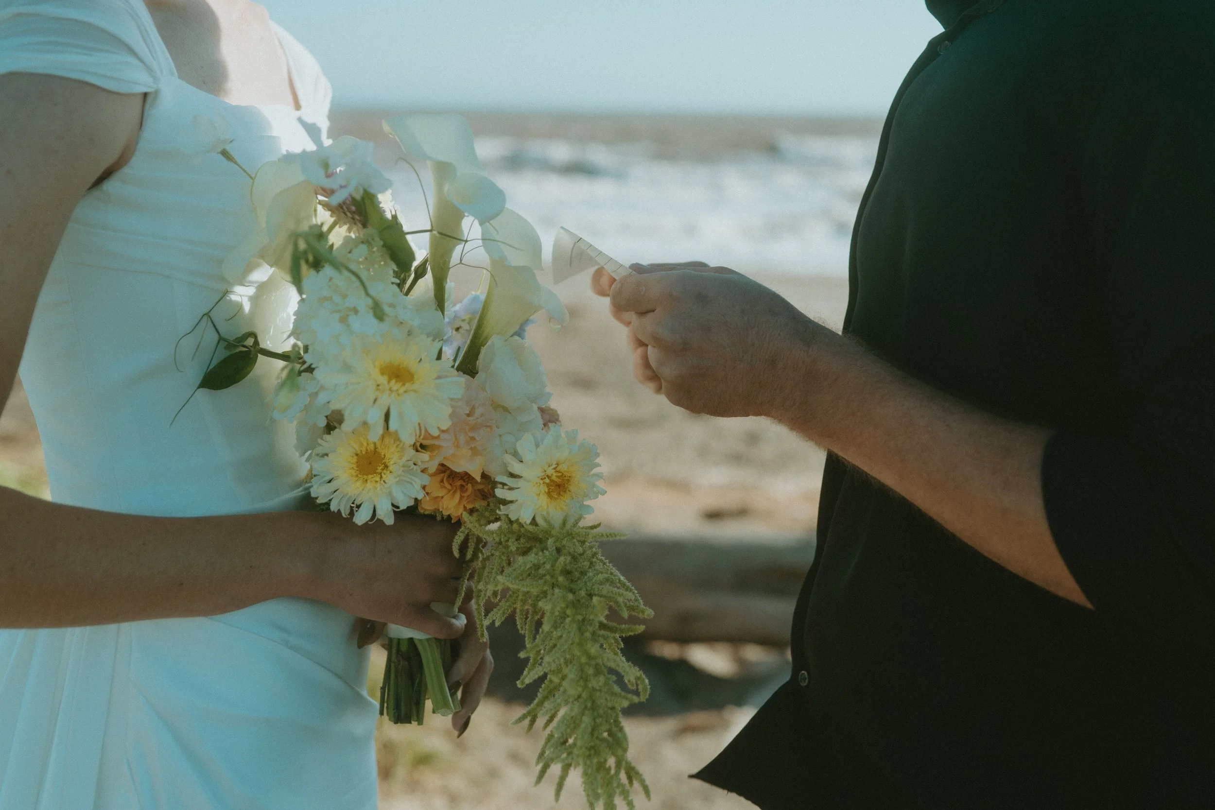 Sandra&SethElopement-39.jpg