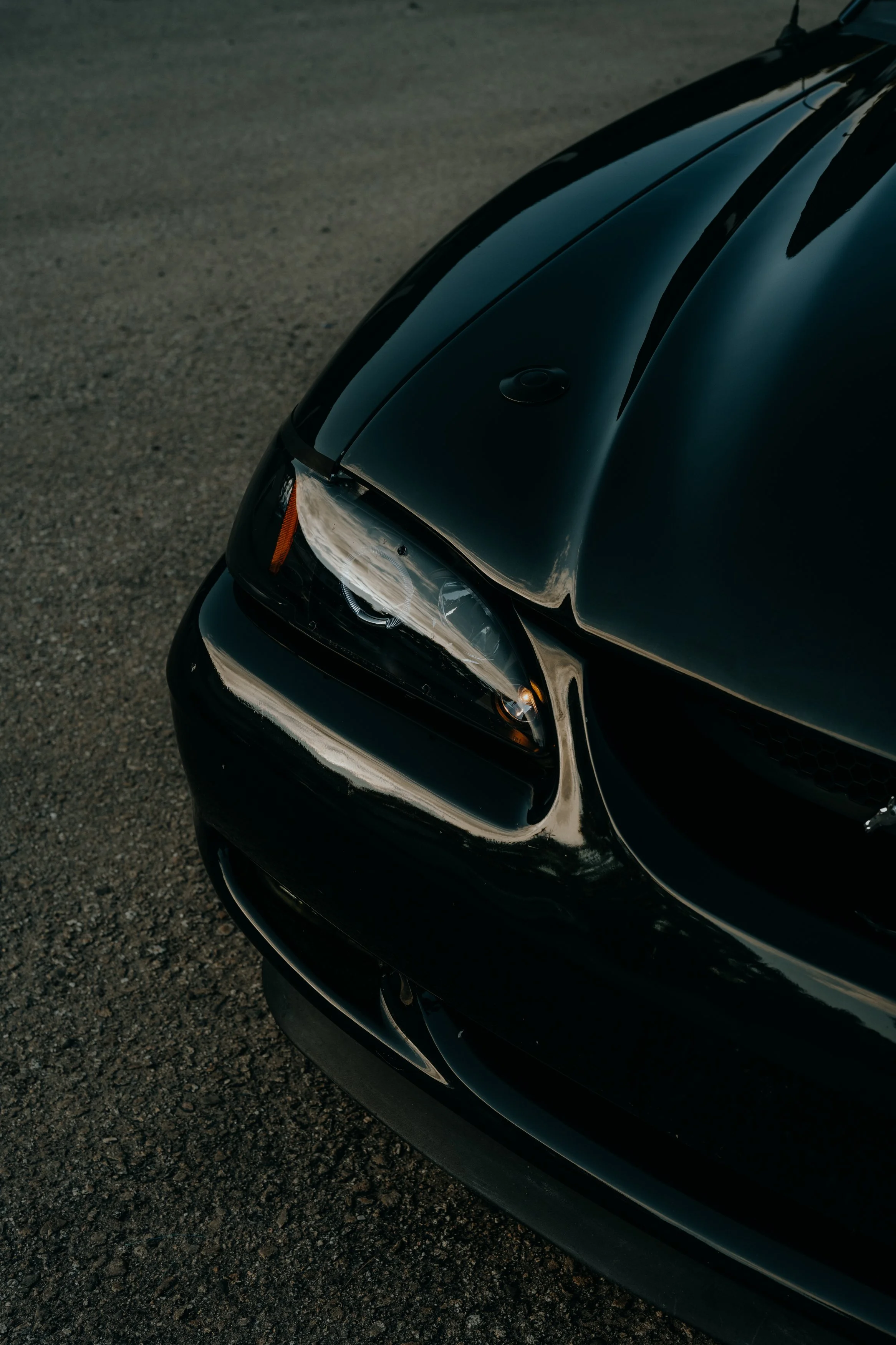Mustang-38.jpg