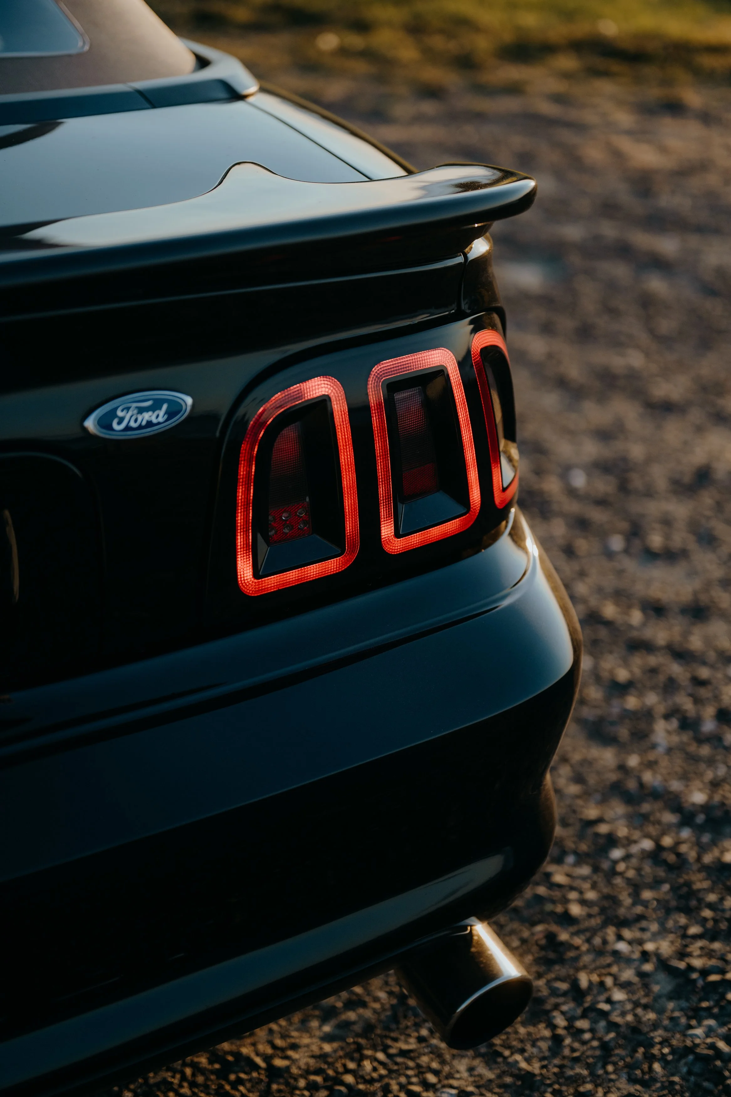 Mustang-84.jpg