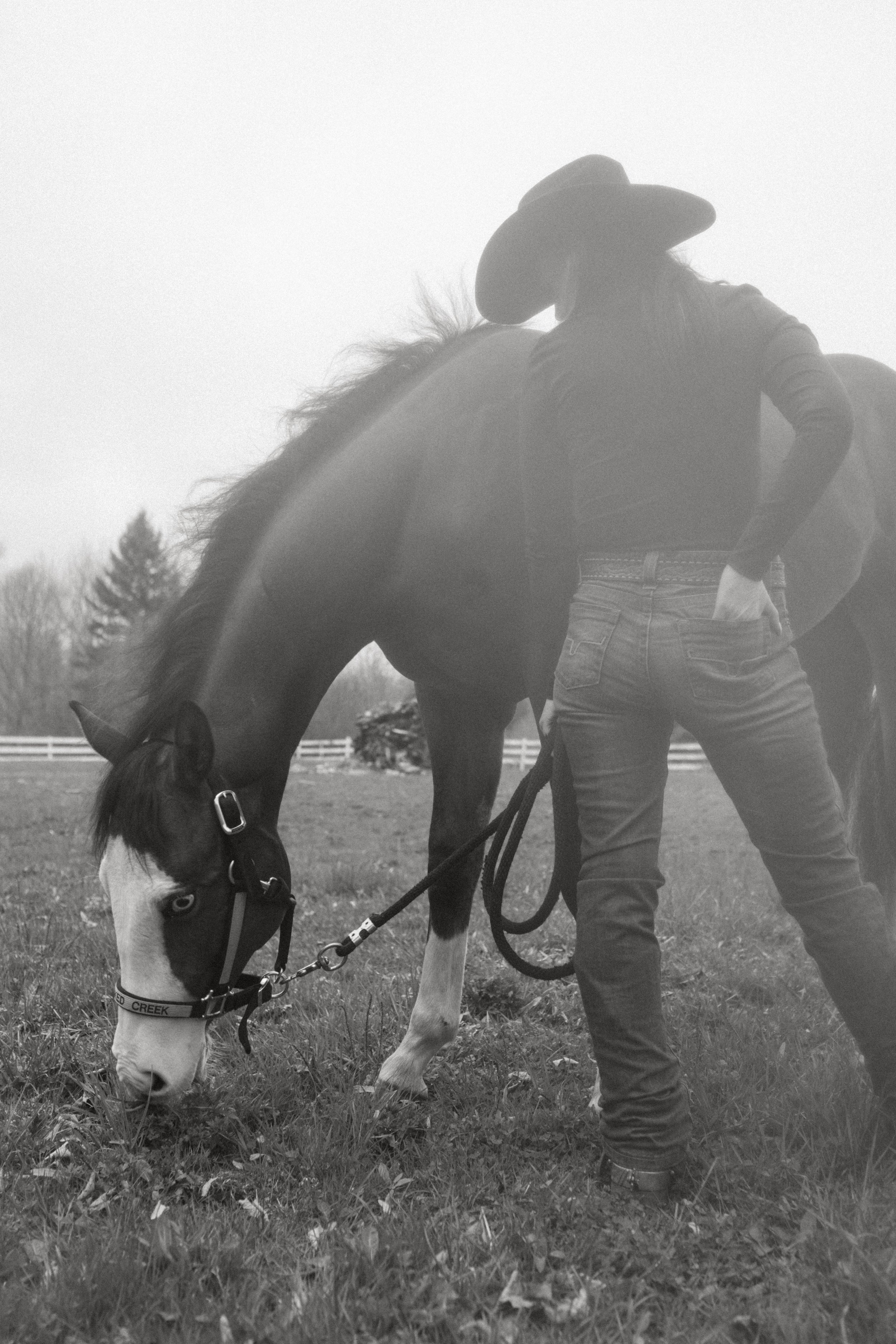 A person in a cowboy hat and jeans stands beside a horse with a halter, grazing on grass in an outdoor field, with trees and a fence in the background.