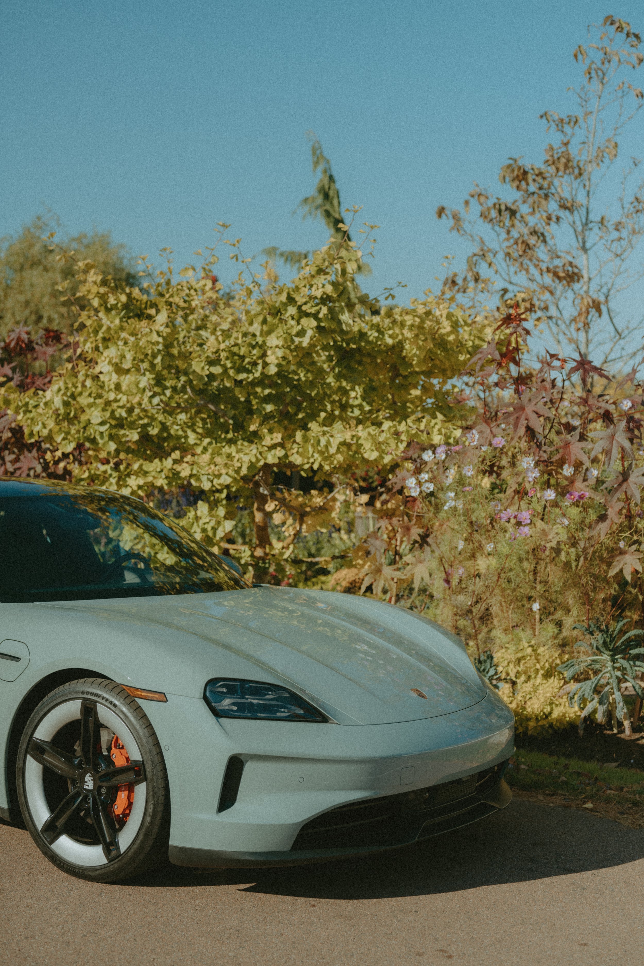 A white sports car parked on a paved surface next to colorful bushes and trees under a clear blue sky.