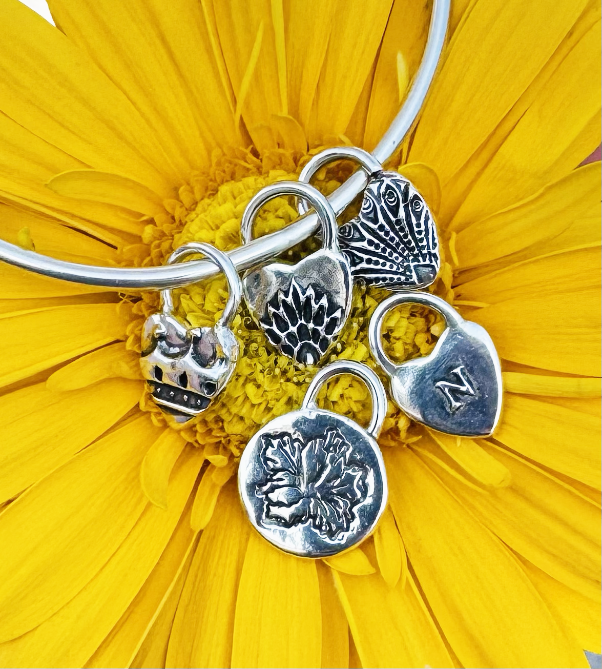 Additional Charms for Bracelet Class