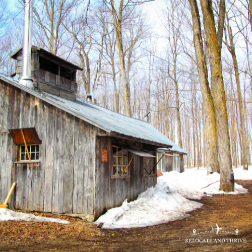 Discover the Sweet Magic of Sugar Shack Season in Montreal and Ottawa