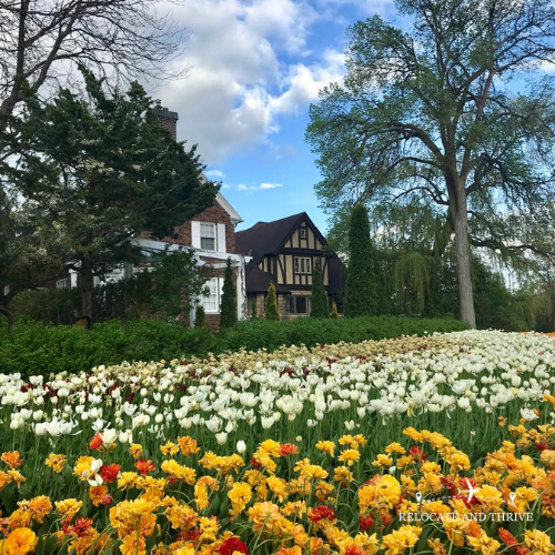 Celebrate Spring at the Canadian Tulip Festival in Ottawa