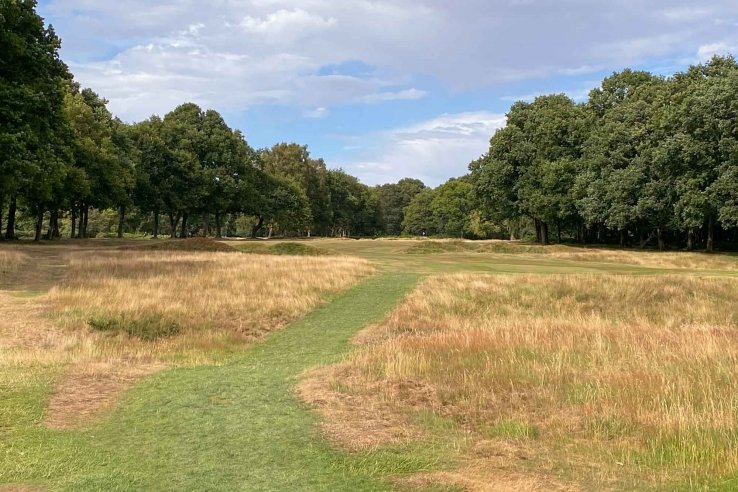 What Is Common Land?