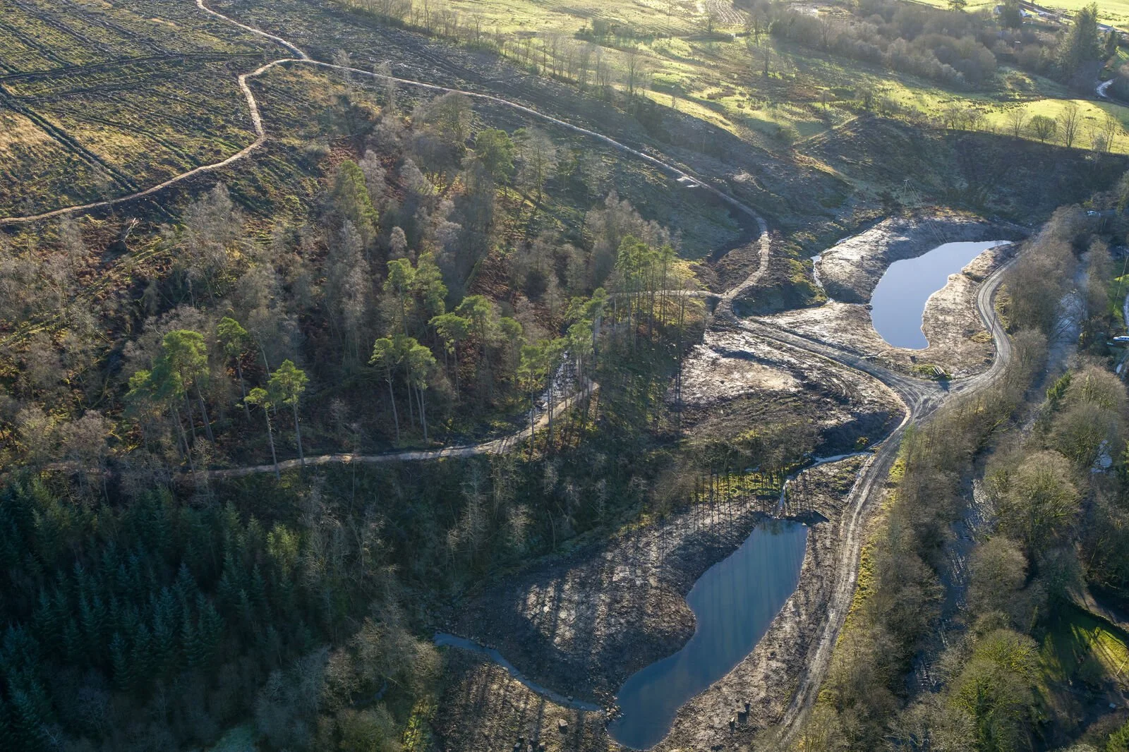 Interview With The Langholm Initiative