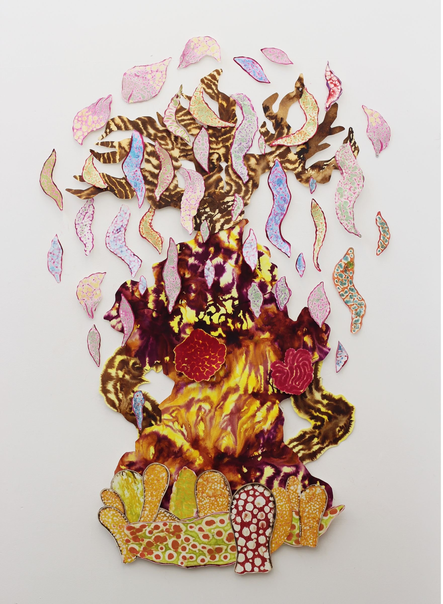 IMG_5054editedto use.jpg