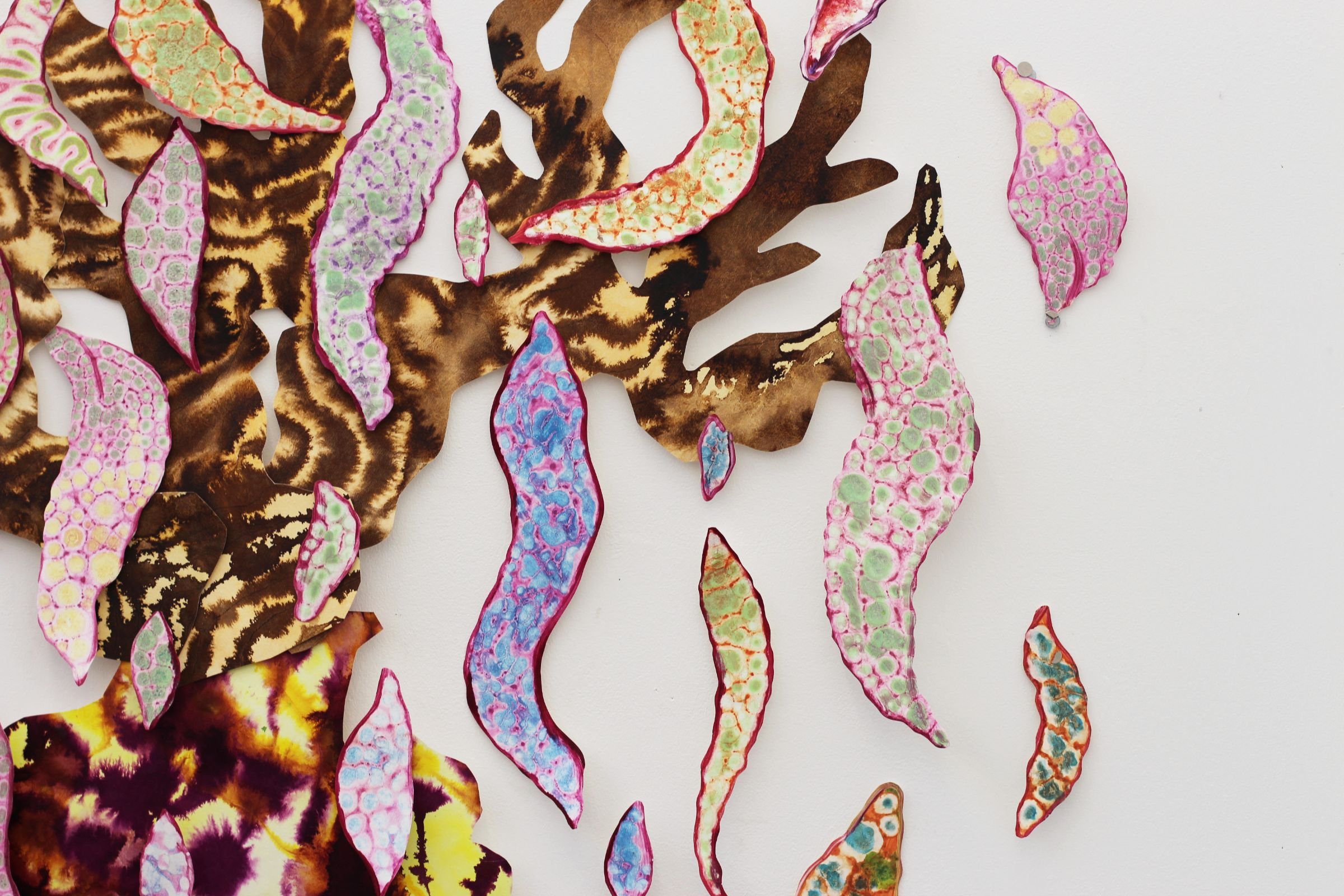 IMG_5045edited to use.jpg