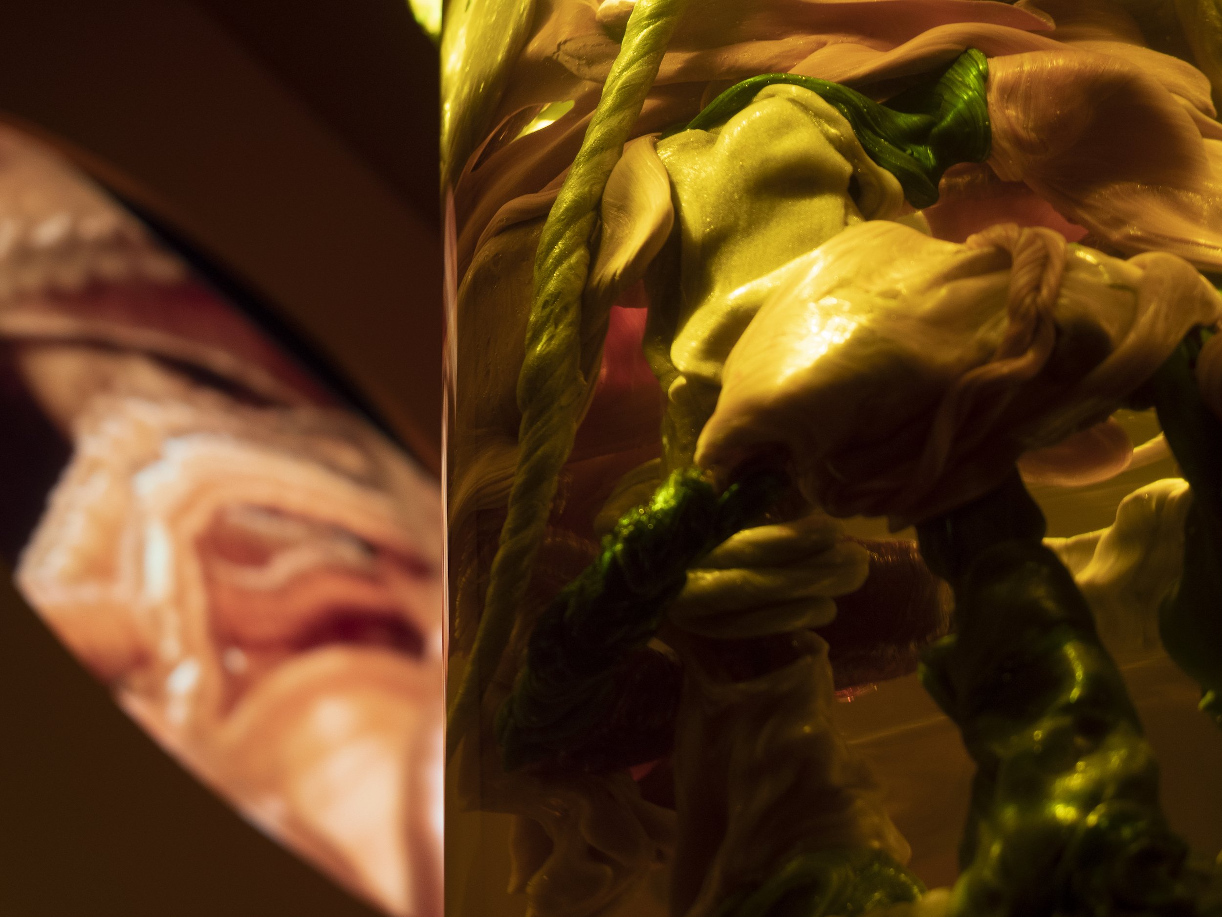 TerraNexus_Medium-05.jpg
