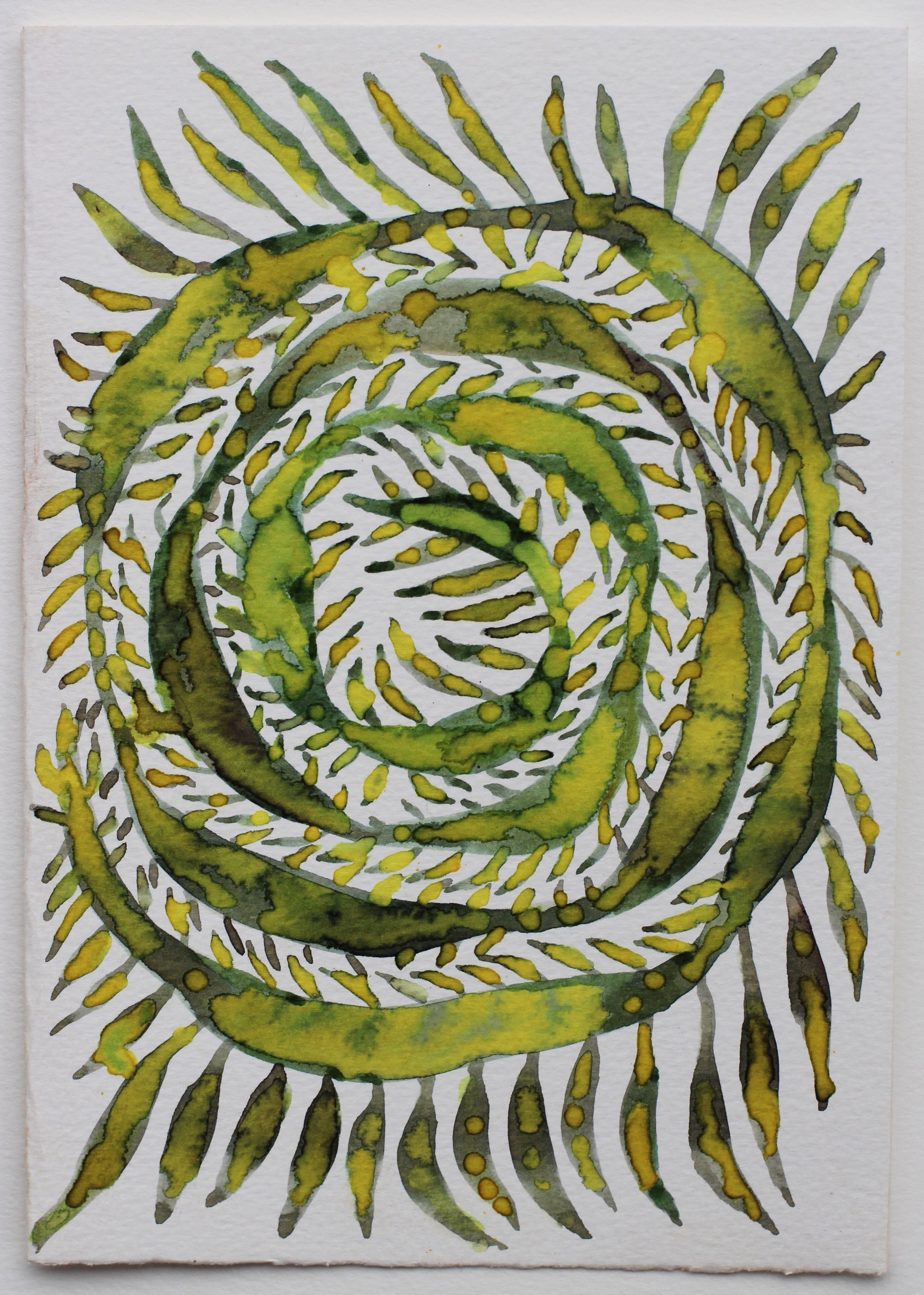 Spiral, watercolour ink, A5