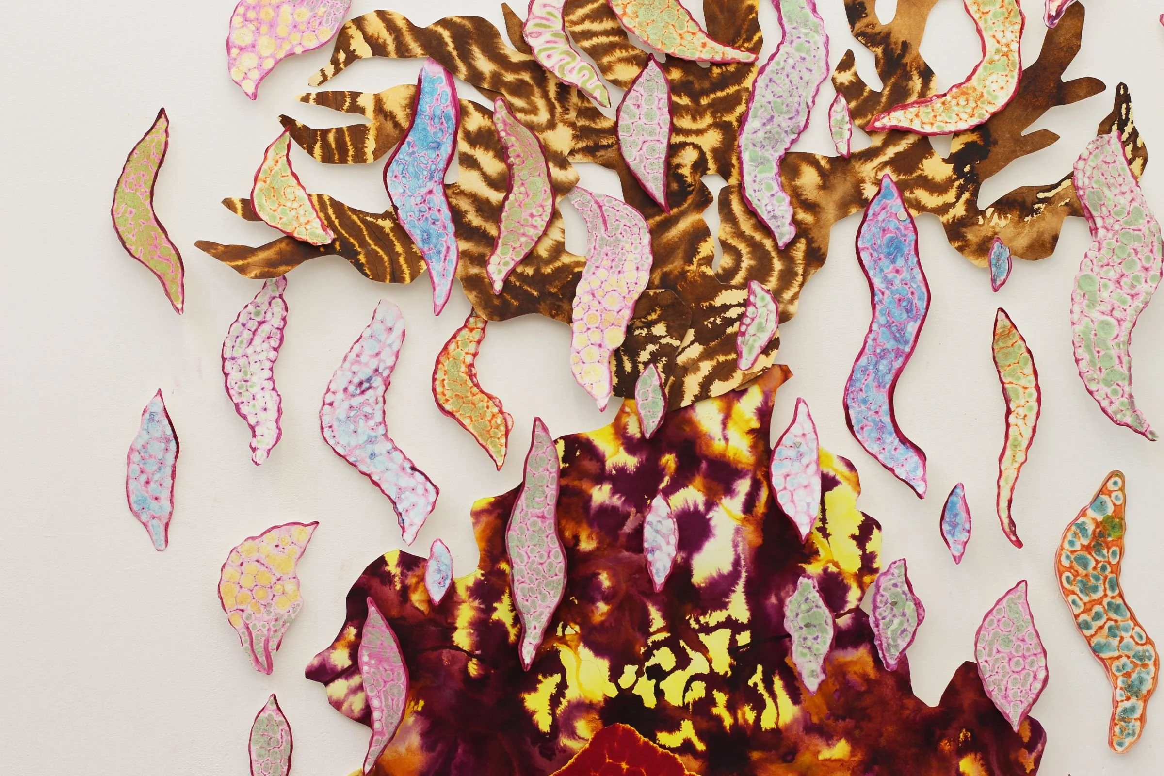 IMG_5034edited use.jpg