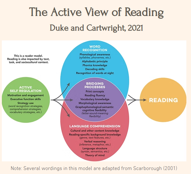 The Active View of Reading image was taken from nellduke.org