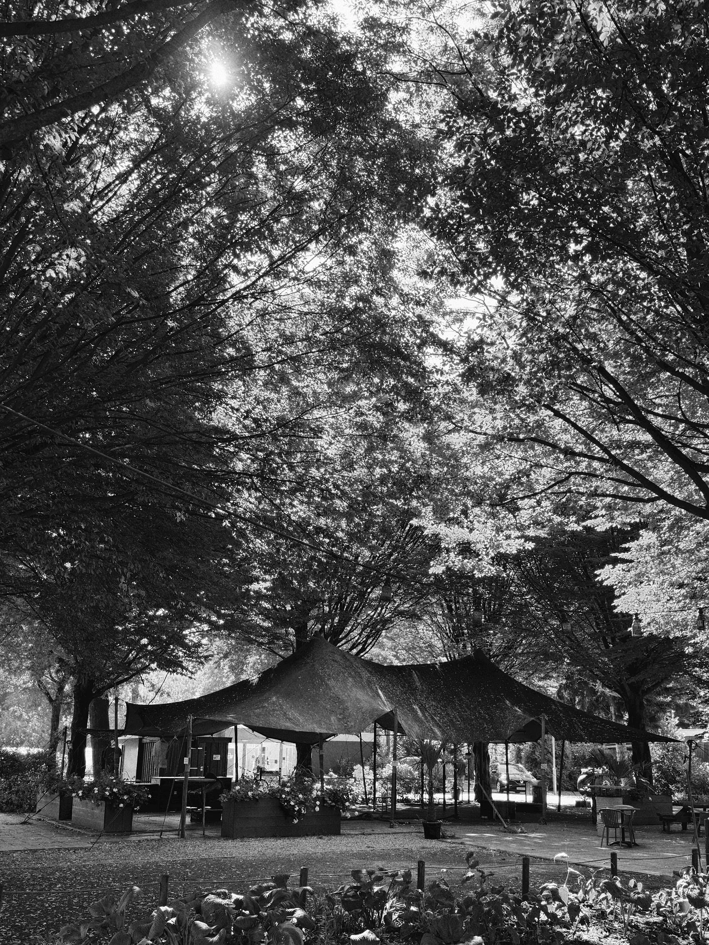Your outdoor studio in the backyard of Groningen, Stadspark. Here our roof is canvas, our walls are green and our soundtrack is birdsong. Every reformer session here is a reminder that movement doesn&rsquo;t need mirrors or marble floors. Just space,