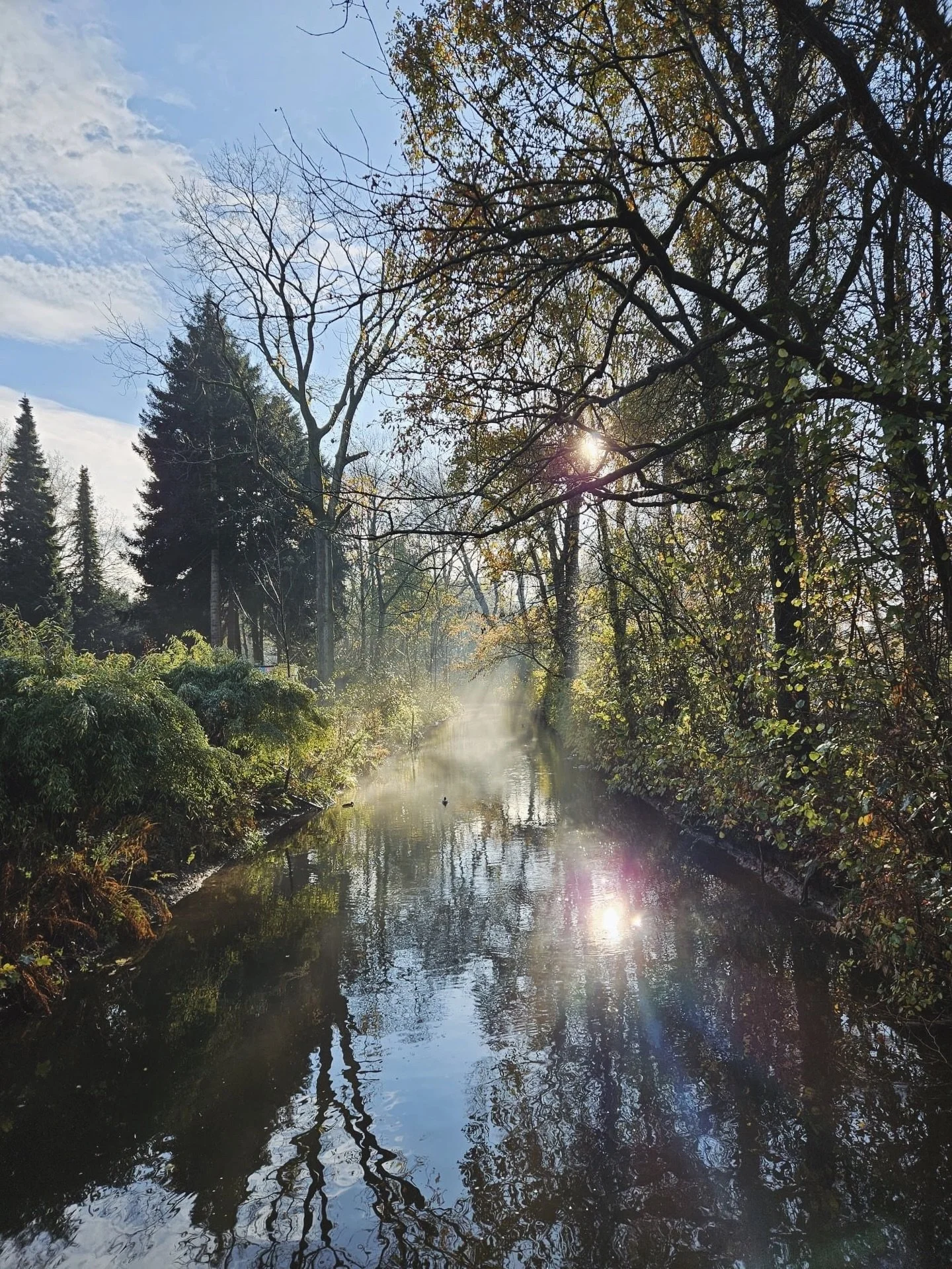 Some Backyard magic lately 🧚

Vanaf a.s. zondag trainen we in de serre. 
Warme sfeer, open ramen, zonlicht op je huid (Vitamine D) precies wat je lichaam nodig heeft in de wintermaanden.

Vanaf december kun je elke dag trainen met ons vernieuwde les
