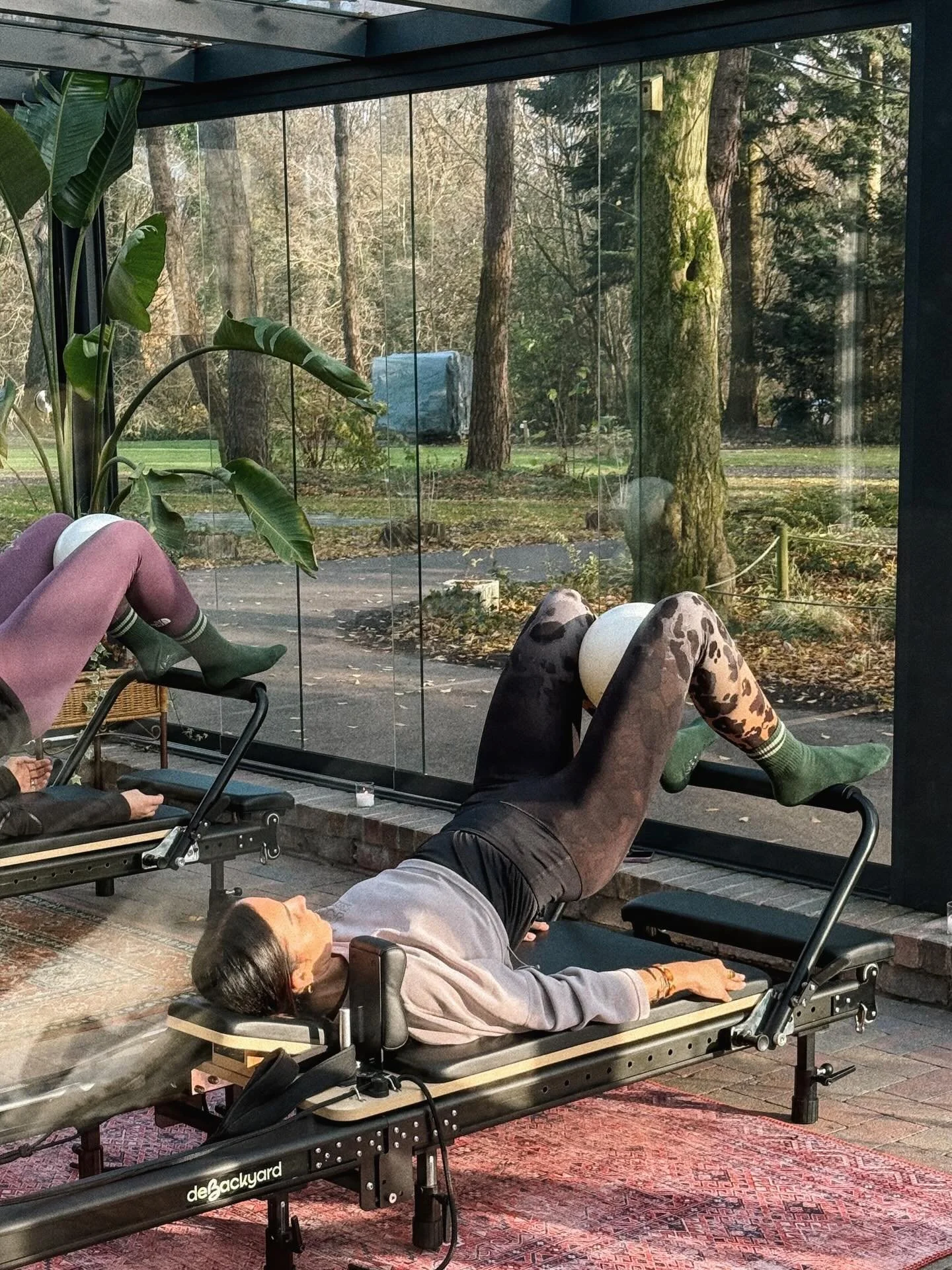 Wild vibes in de Backyard this afternoon 💚🐅
@onedayretreatsdrenthe @onedayretreatsgroningen