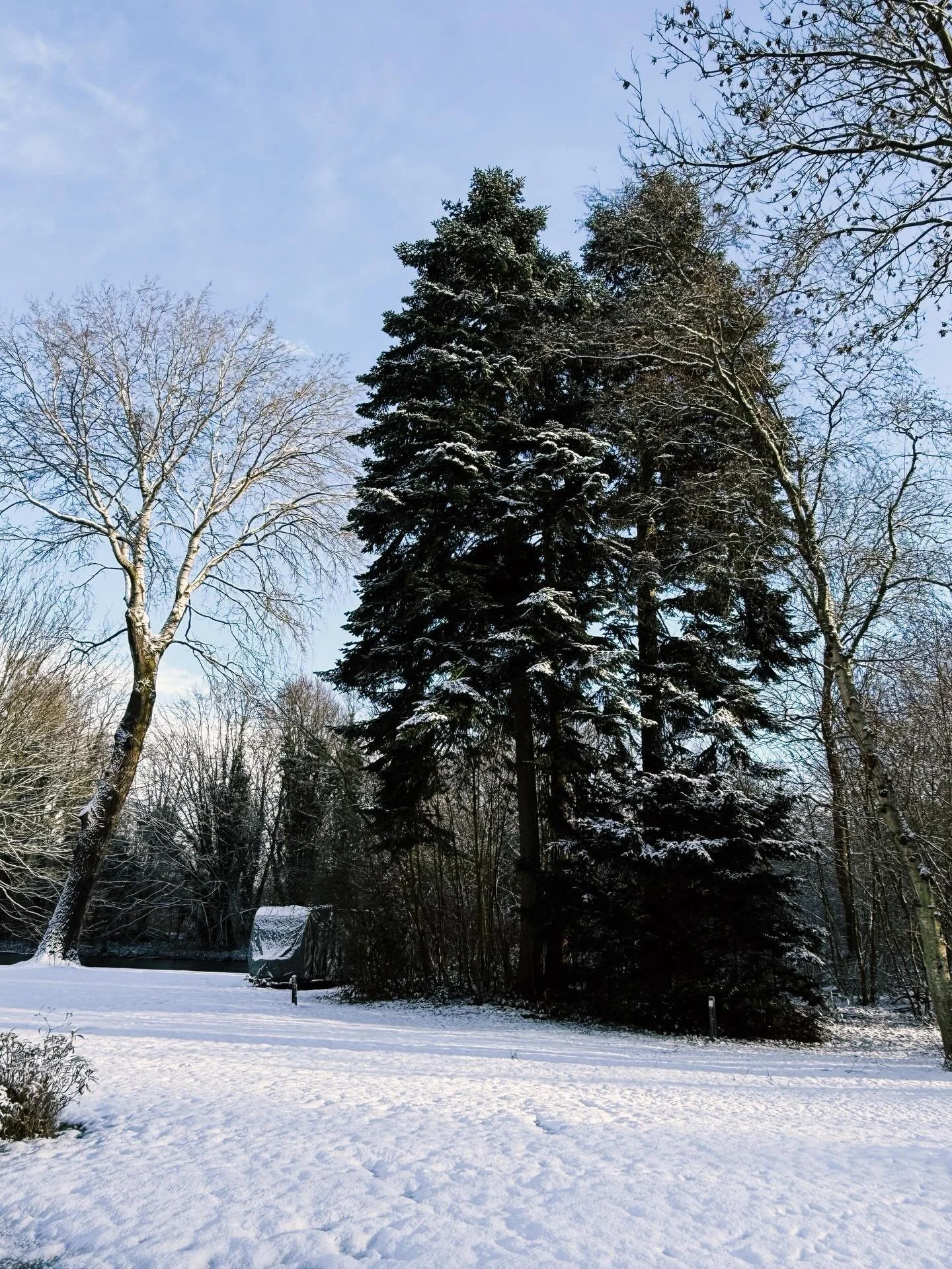 Goede voornemens in januari klinken logisch. Maar ons lichaam zit nog midden in de winter. Minder energie. Meer behoefte aan rust, natuur en regulatie. 
 
Misschien is dit wel de reden dat goede voornemens zo vaak mislukken: ze sluiten niet aan op he