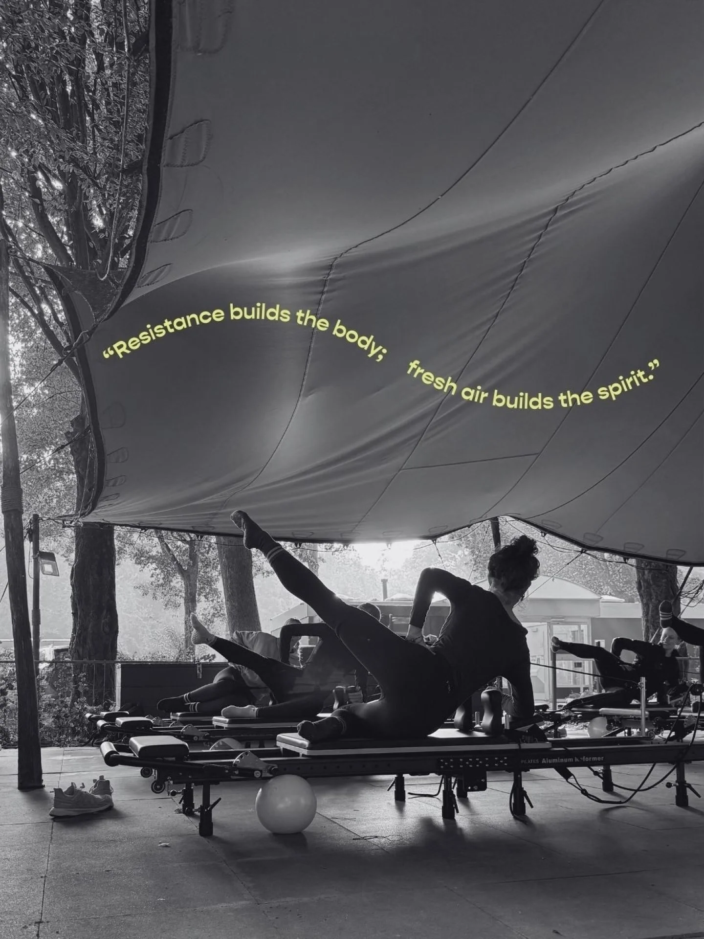 Today Yvonne kicked off the outdoor season 🧚

The serre is empty again.
Which means one thing:

We&rsquo;re back outside.

Under the canopy.
Under the trees.

March 20 marks the start of spring.
The forest is waking up.
The first buds are returning 