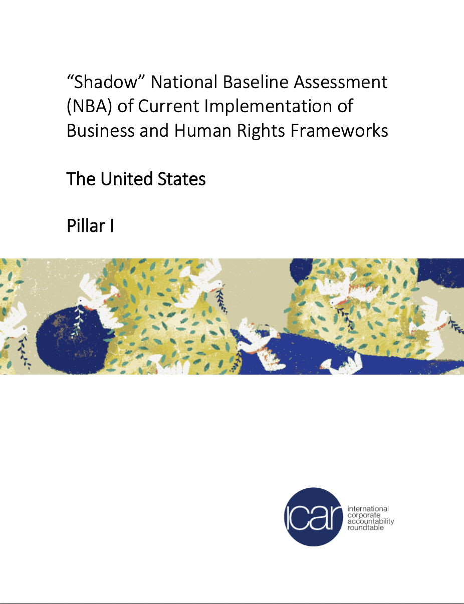 ICAR Shadow U.S. National Baseline Assessment - Pillar I
