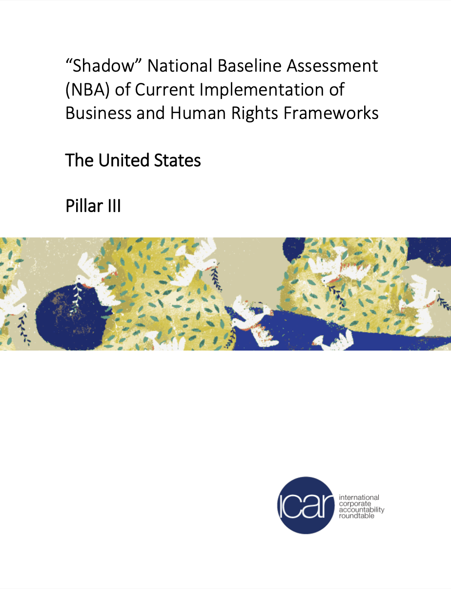 ICAR Shadow U.S. National Baseline Assessment - Pillar III
