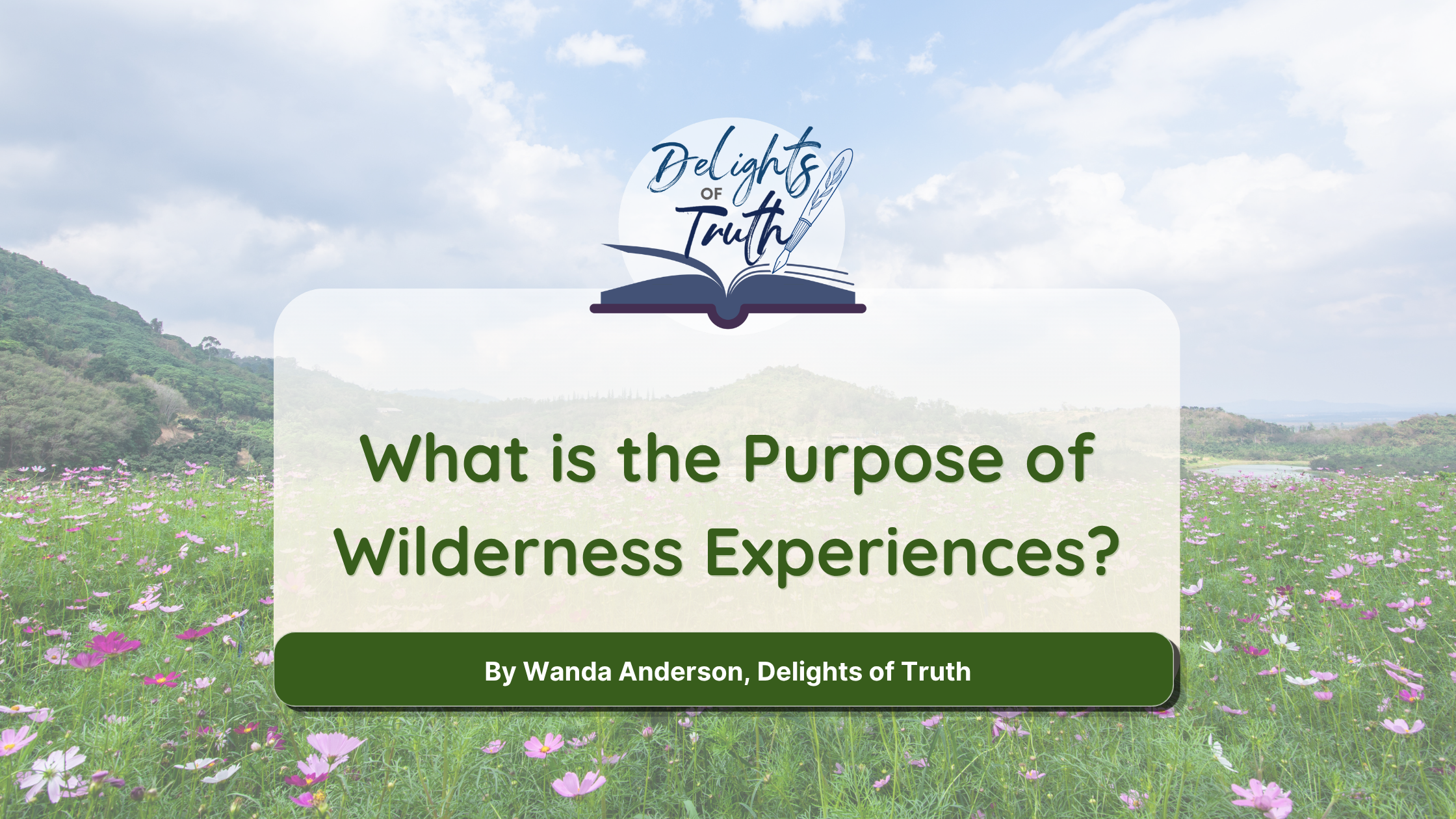 What is the Purpose of Wilderness Experiences?