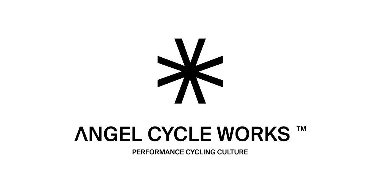 Inside the ANGEL Project