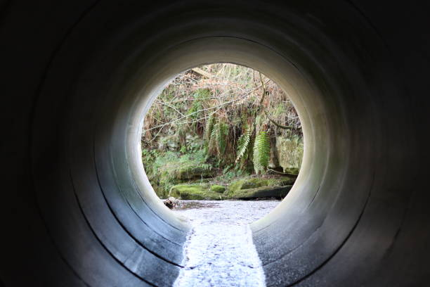 View through a large circular tunnel showing a creek, rocks, moss, and trees outside.