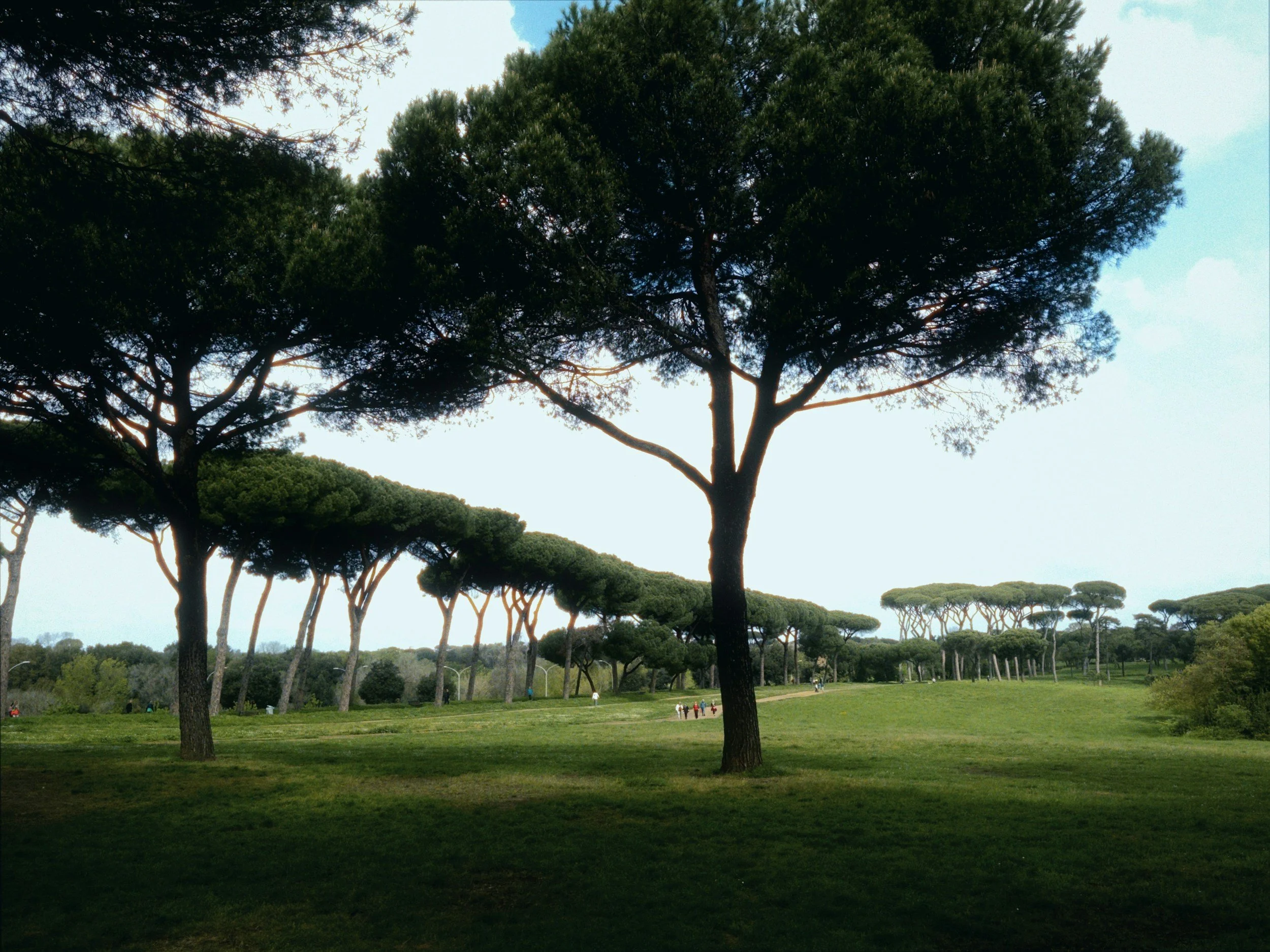 A park with trees and green grass, with houses in the background under a partly cloudy sky.