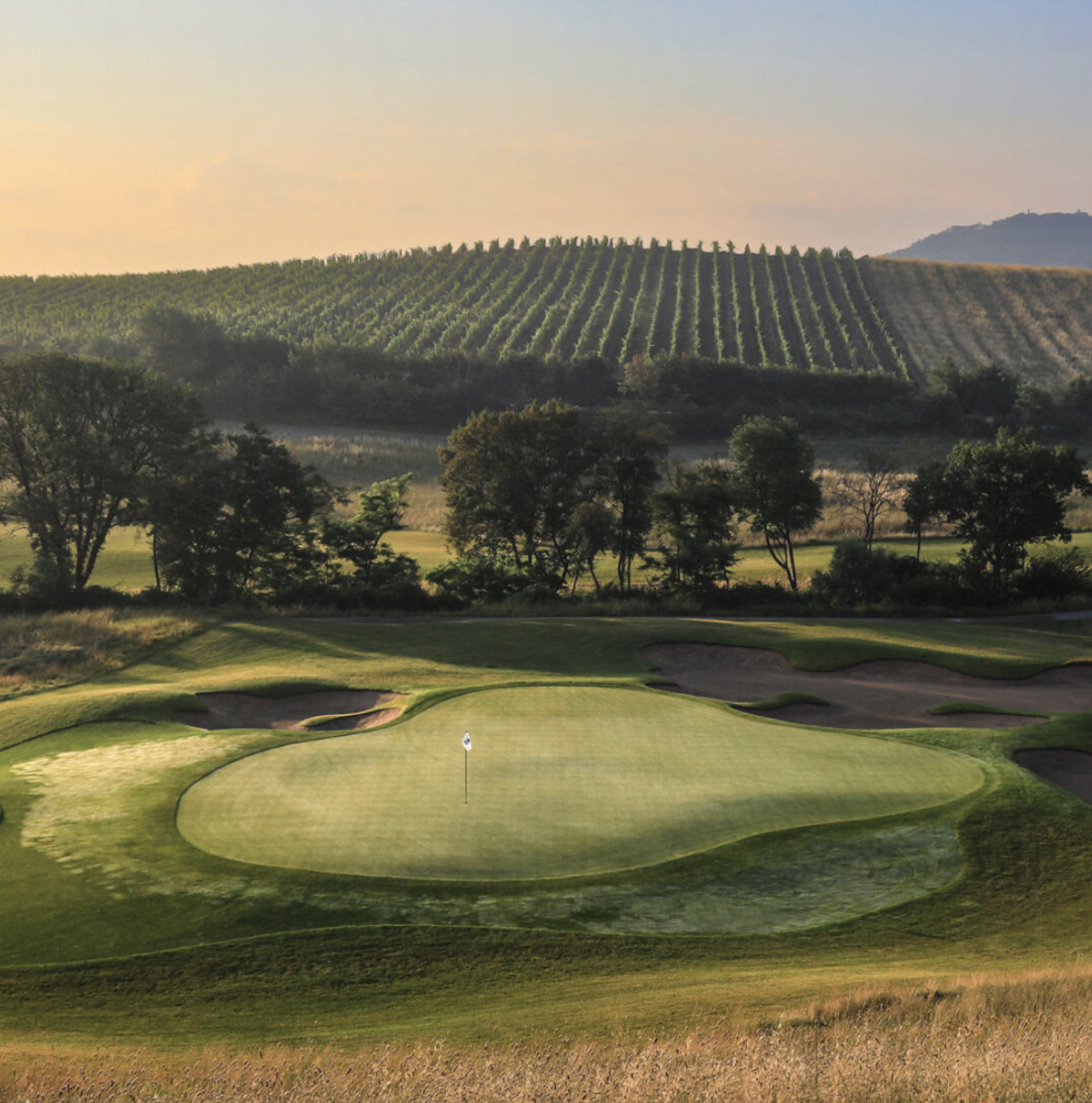 A golf course with a putting green, sand bunkers, and trees in the foreground, open fields, and vineyards on rolling hills in the background at sunrise or sunset.
