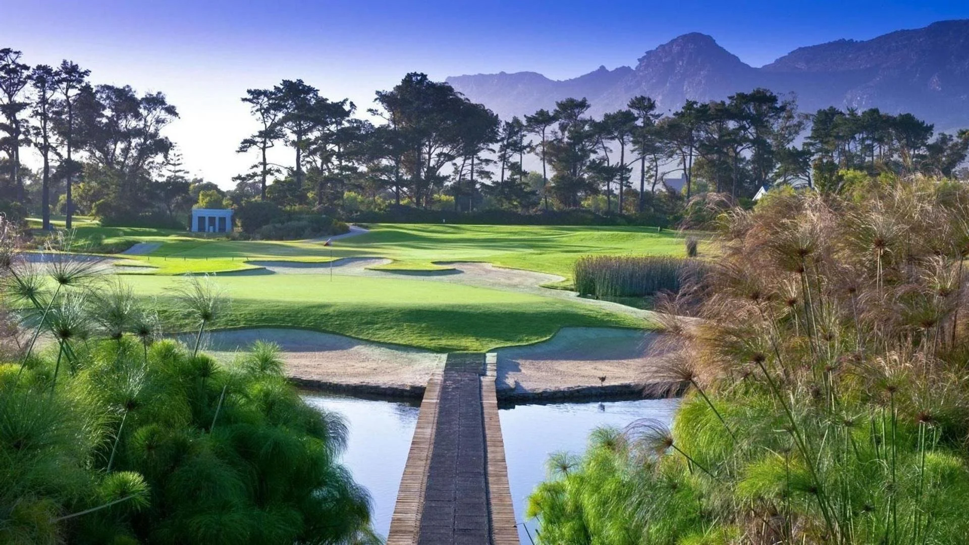 Steenberg Golf Club