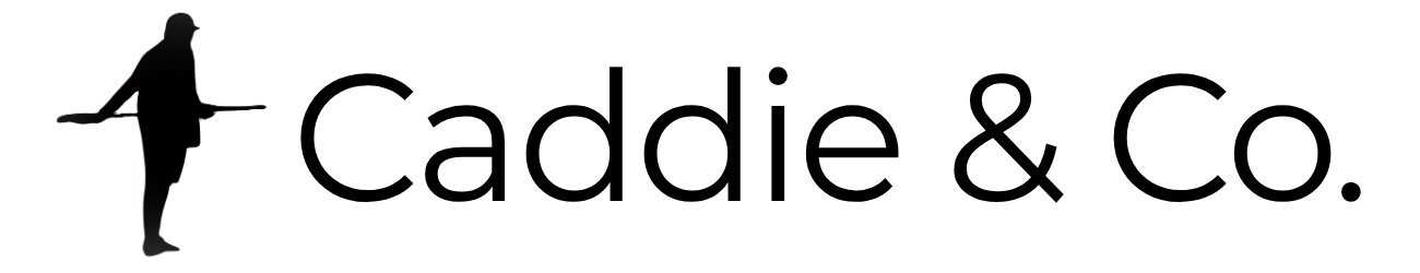 A black silhouette of a bird standing on a branch