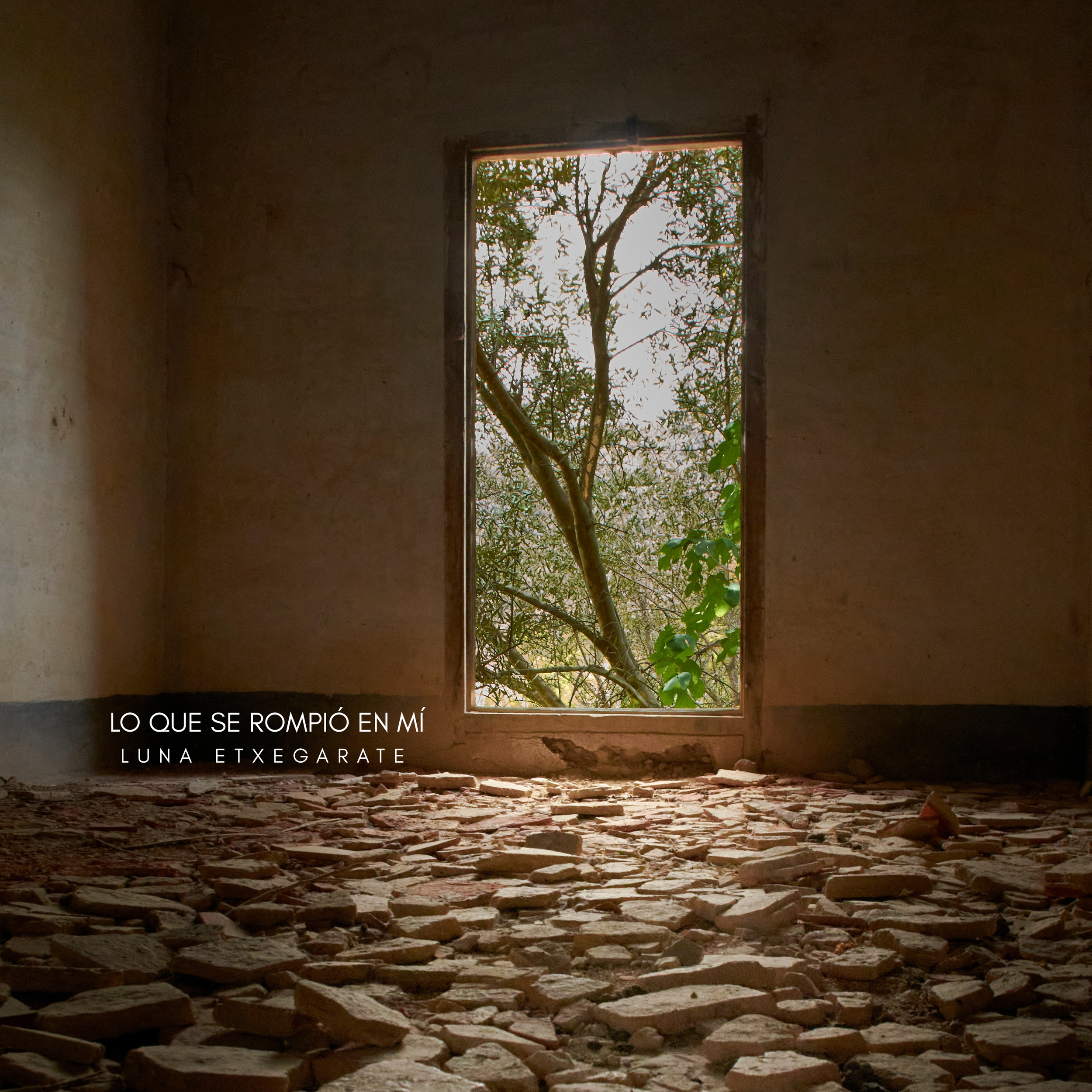 LO QUE SE ROMPIÓ EN MÍ