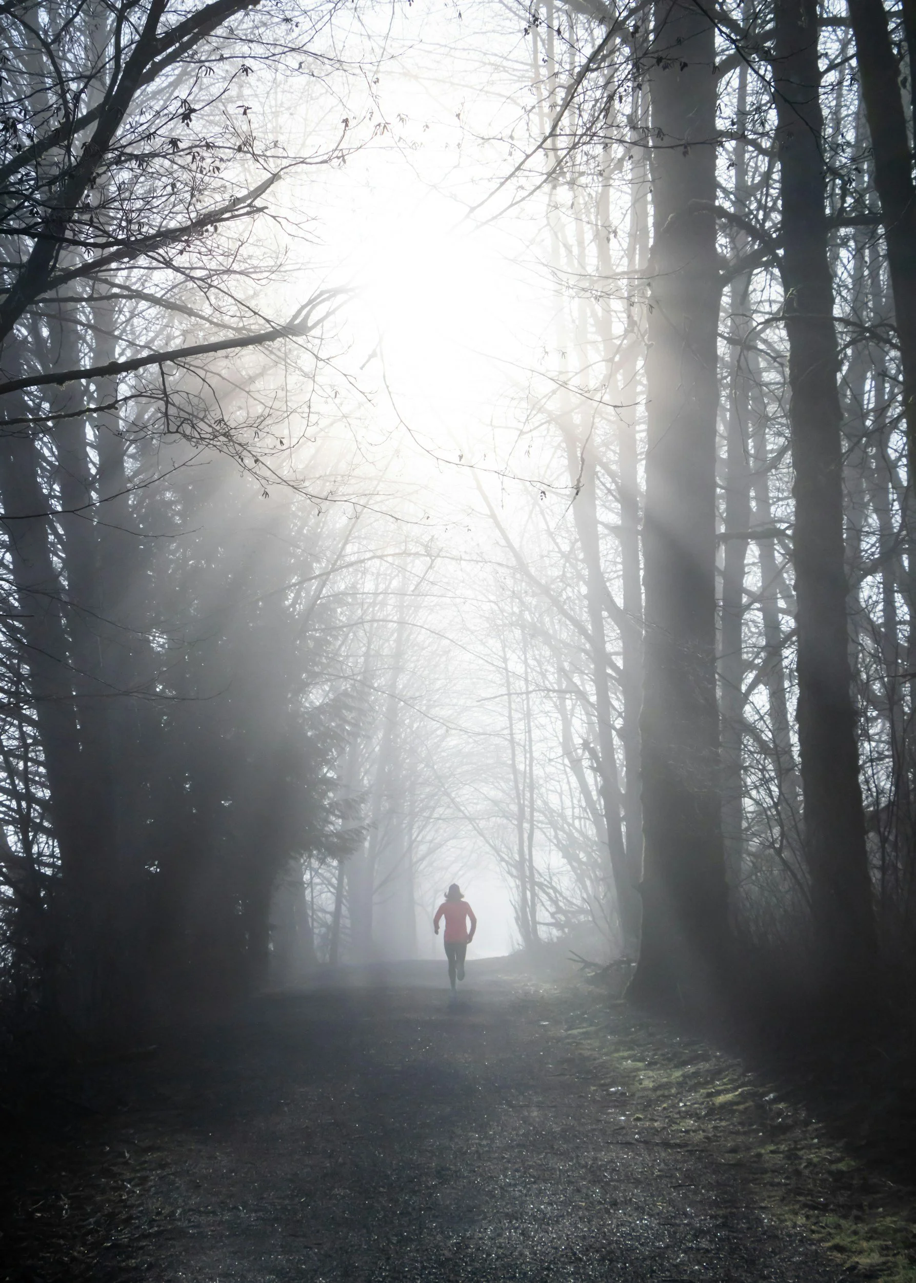 Trauma Healing Without Reliving Trauma