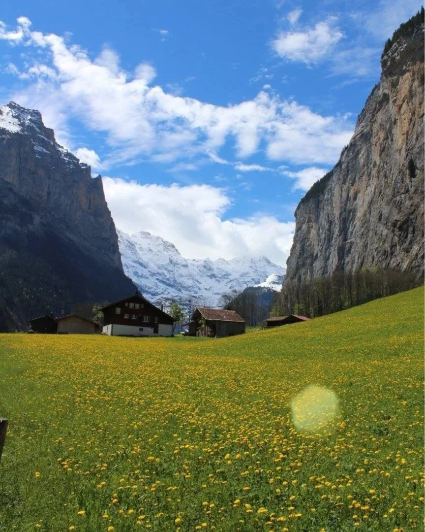 A scenic mountain landscape with snow-capped peaks, a bright blue sky with white clouds, a green meadow filled with yellow flowers, and several small wooden cabins.