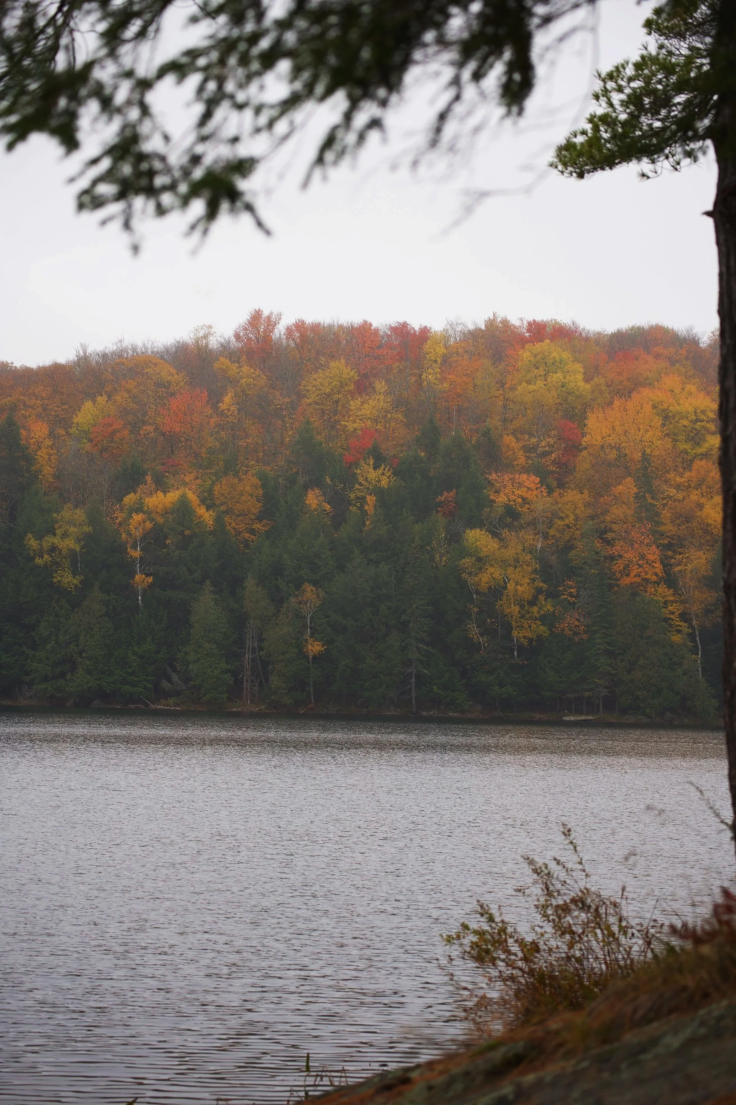 DSC02187.jpg