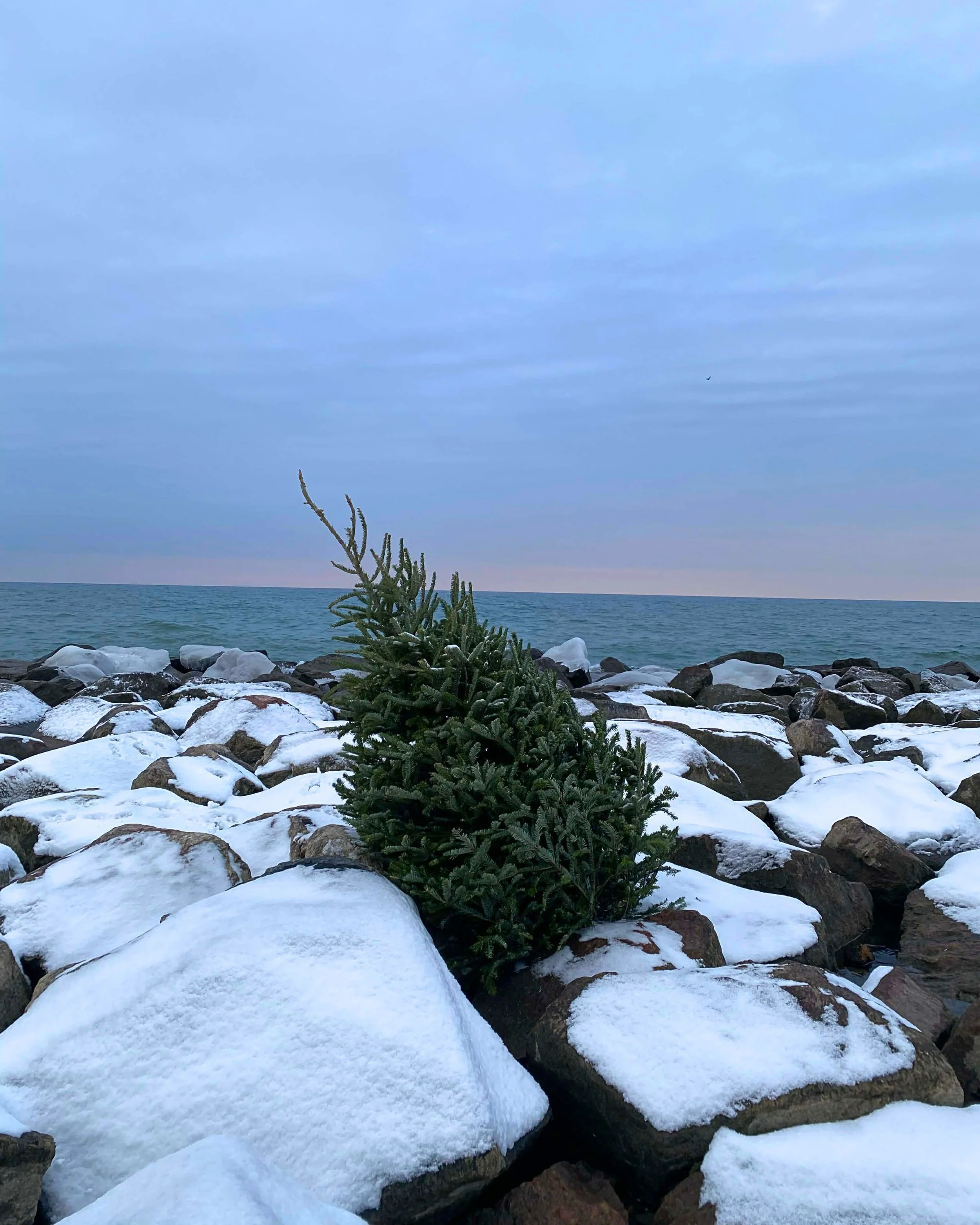 323b82e6-28d9-4756-9b63-11099c86da3b - Edited - Edited.jpg