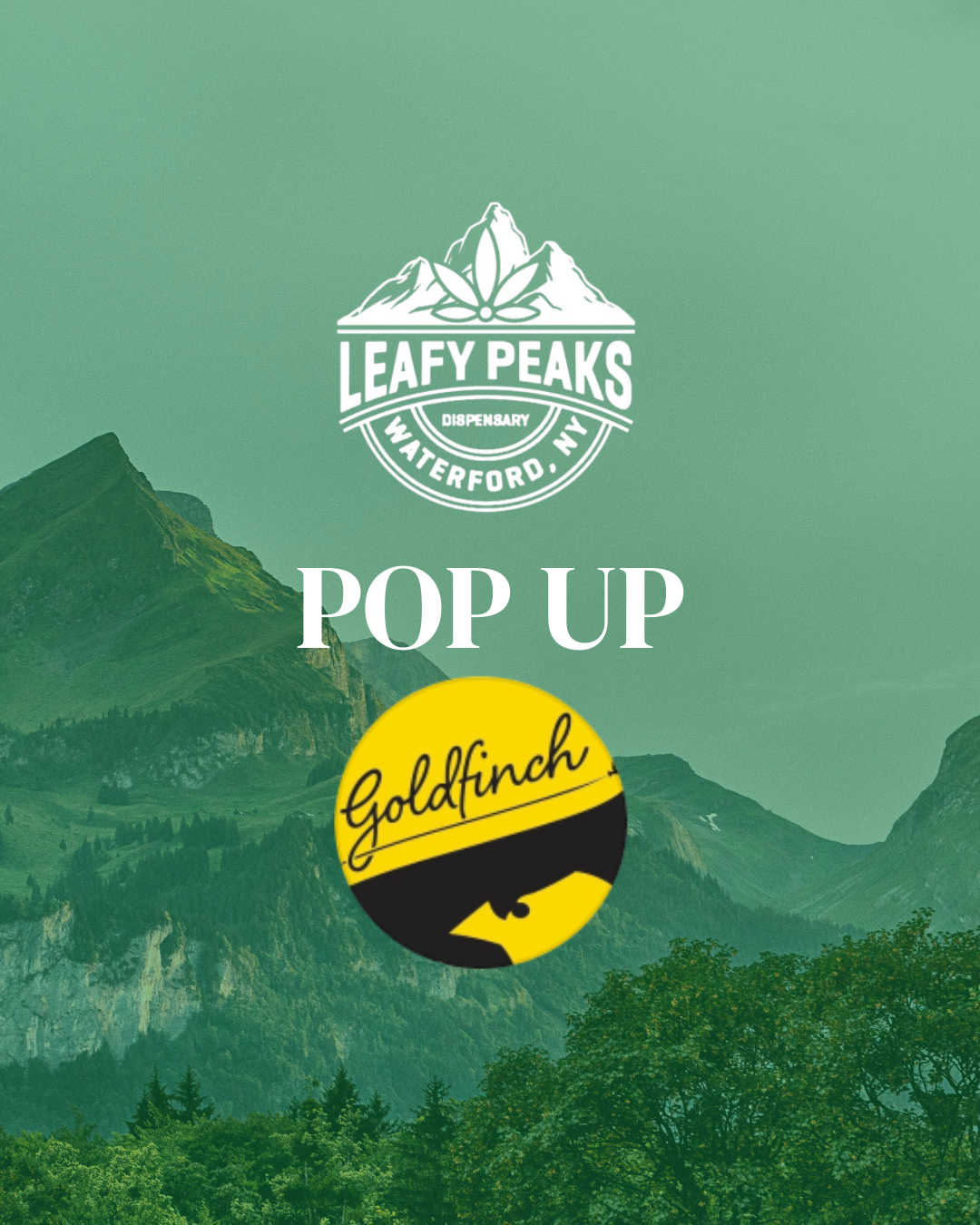 Pop Up with Goldfinch