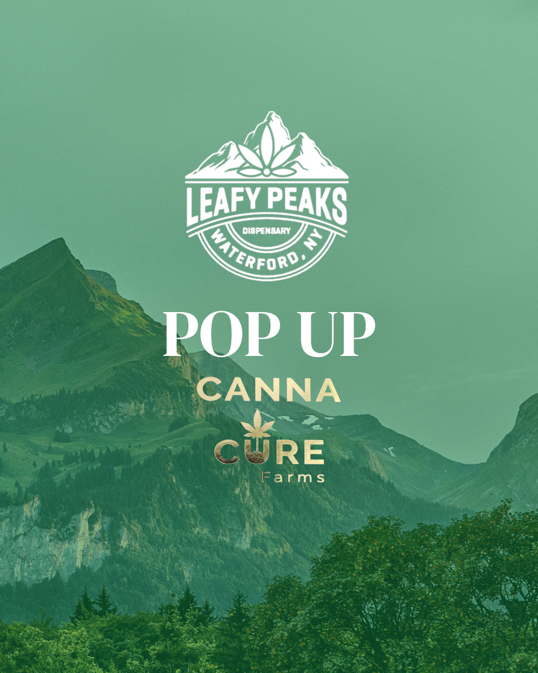 Pop Up with Canna Cure