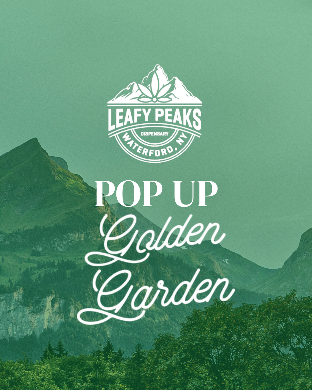 Pop Up with Golden Gardens