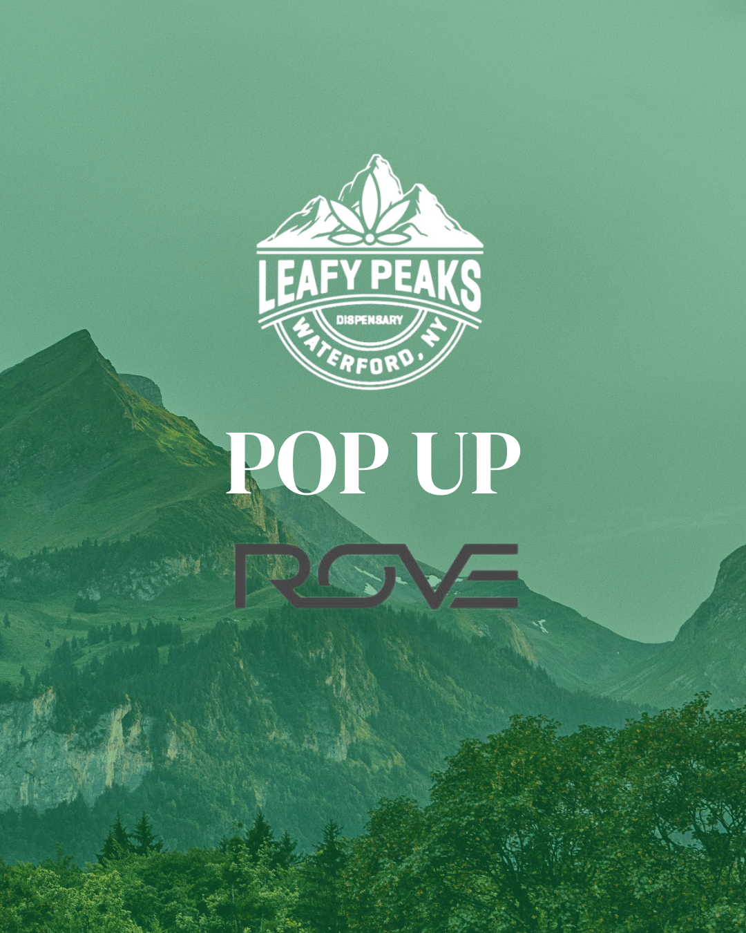 Pop Up with Rove