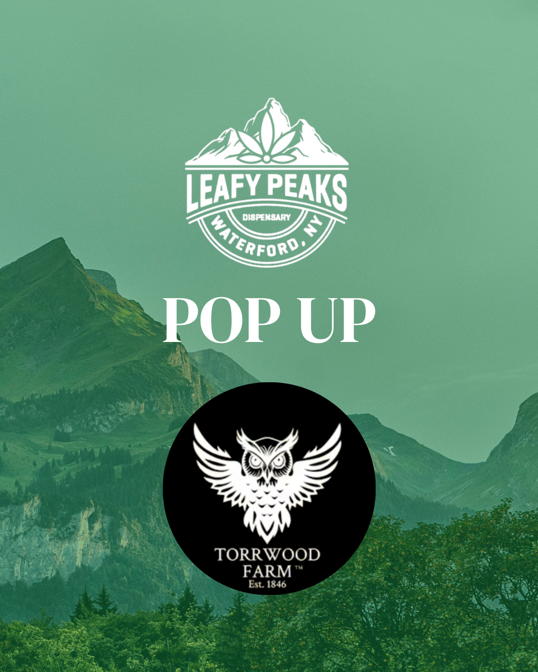 Pop Up with Torwood