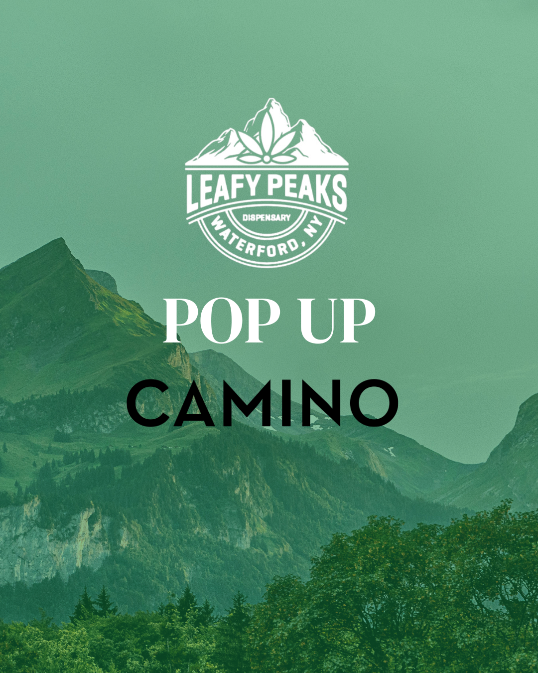 Pop Up with Camino