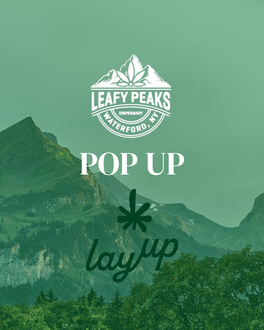 Pop Up with Layup