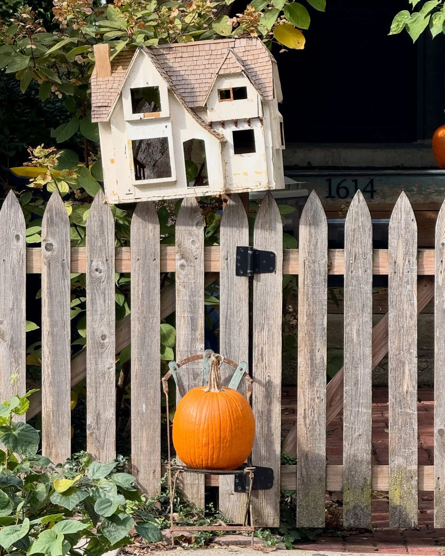 Weekend recap 🎃

- post-Halloween walks on the West Side
- Carmela enjoying her Saturday
- little details @goathillcoffeekc 
- feeling more me
- seasonal color changes
- wandered over to Lawrence on Sunday
- I&rsquo;m a sucker for good branding @190