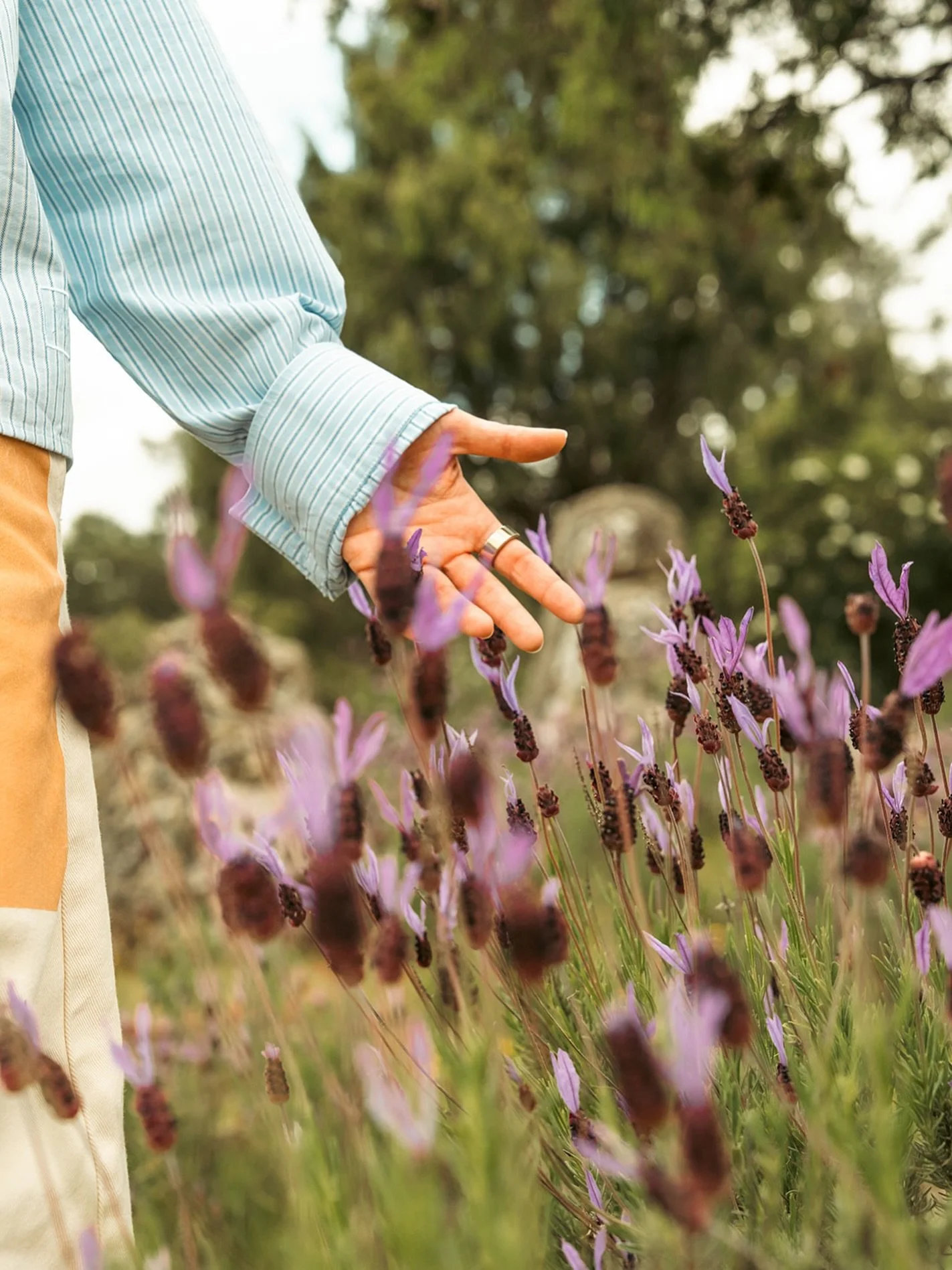 Todav&iacute;a me sorprendo con esto👇

La reacci&oacute;n de las personas cuando nombro la palabra &ldquo;violencia&rdquo;. Como si fuese algo ajeno. Raro. Distante. 

Cuando la realidad es que es algo cotidiano. Algo que esta presente constantement