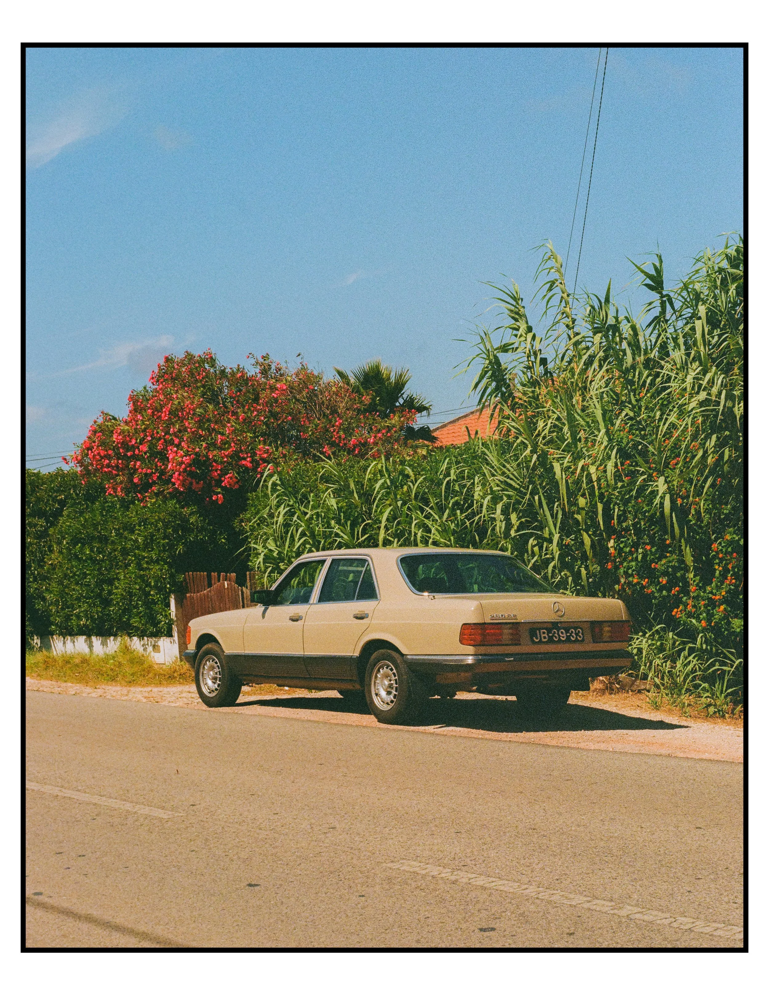 lisbon and algarve film-33.jpg