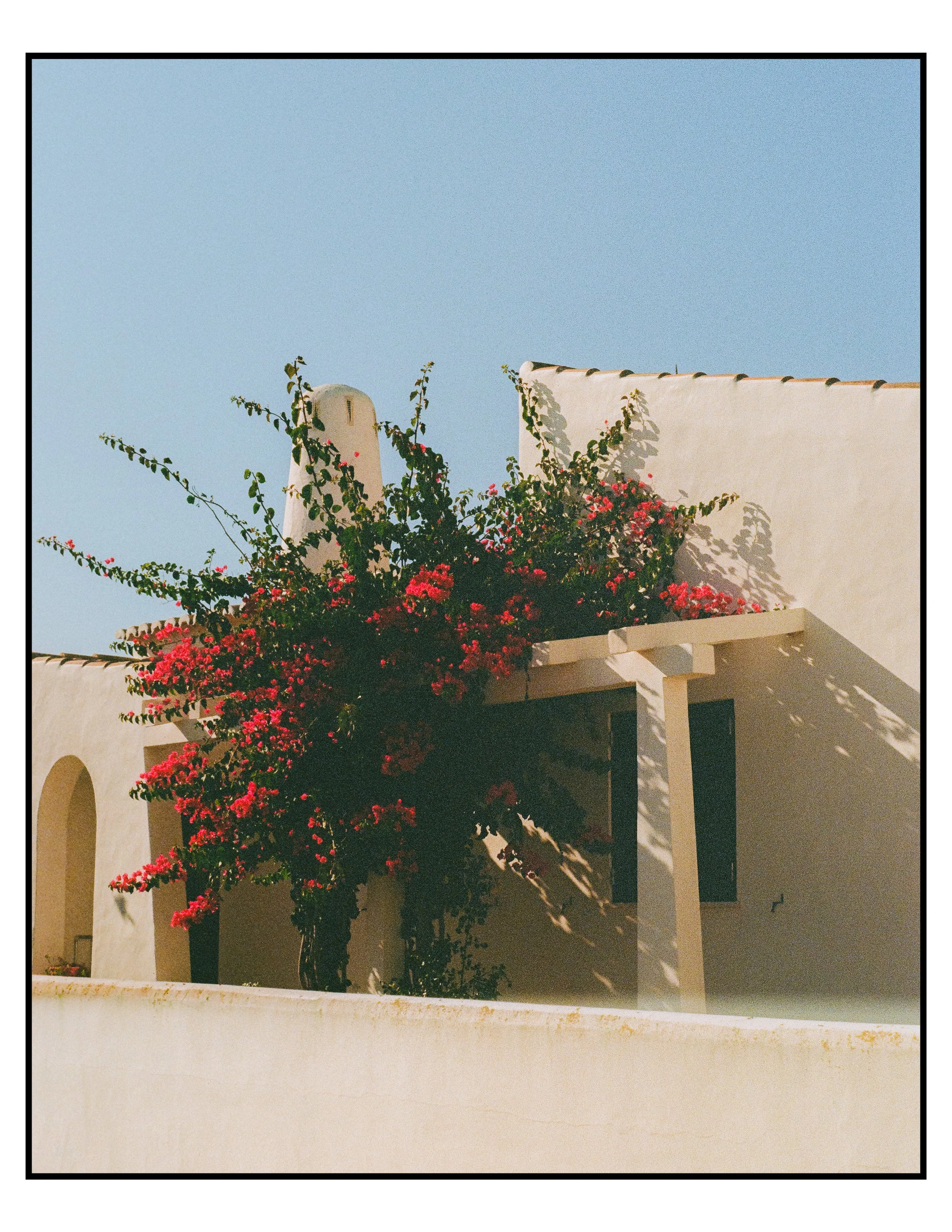 lisbon and algarve film-39.jpg