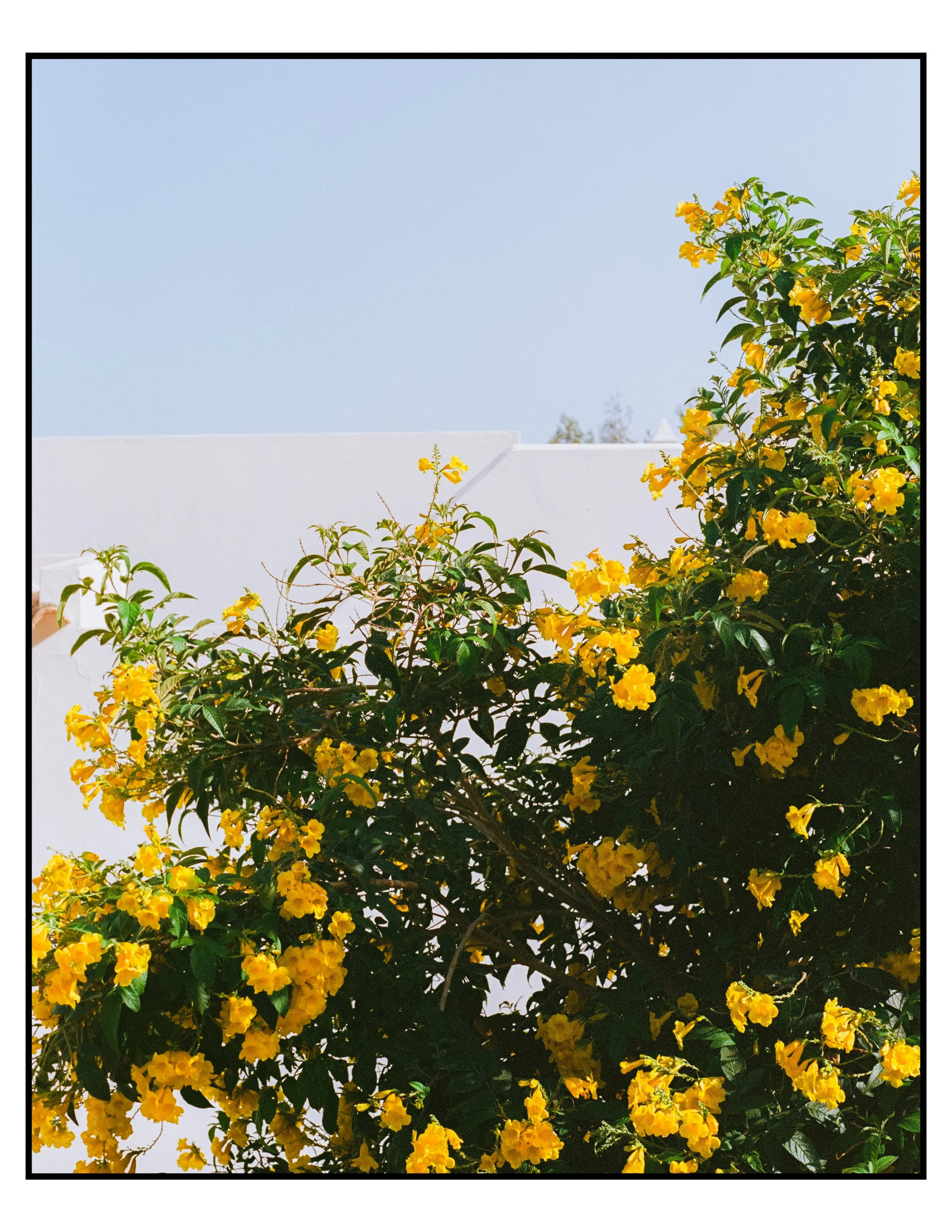 lisbon and algarve film-17.jpg
