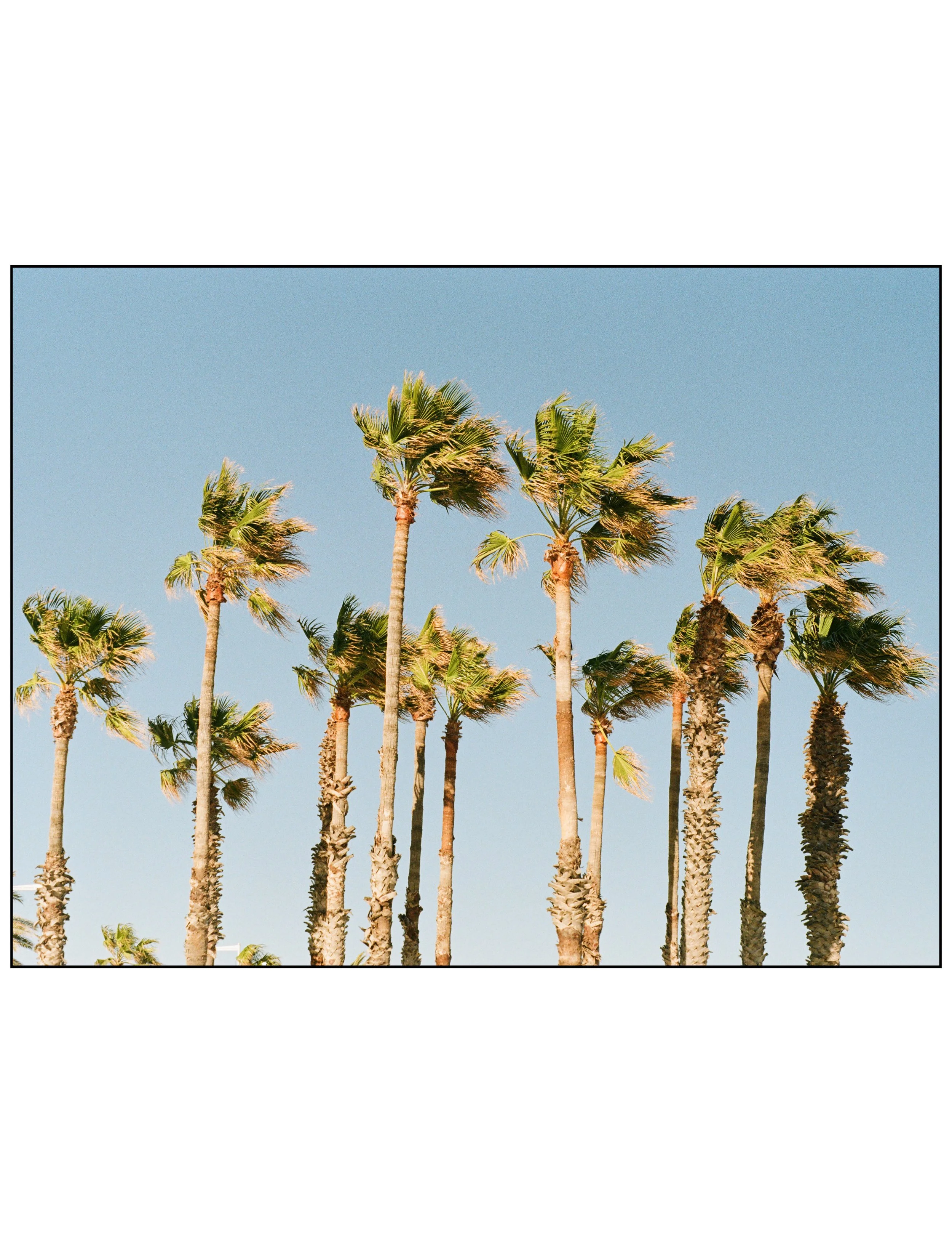 film barcelona + wedding-54.jpg